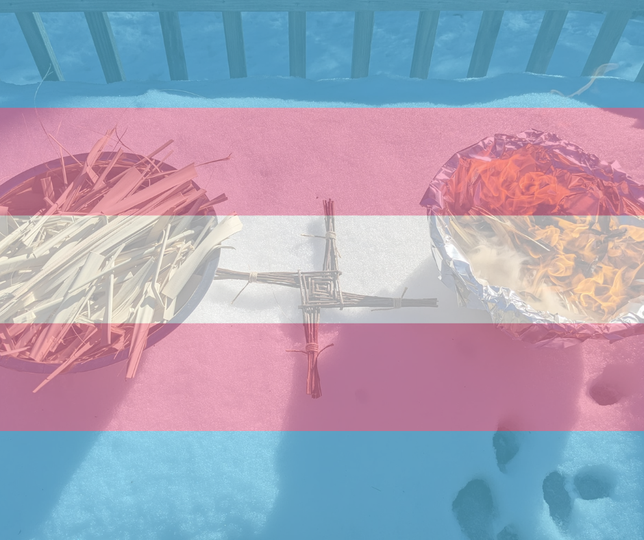 Trans Day of Visibility - 2025