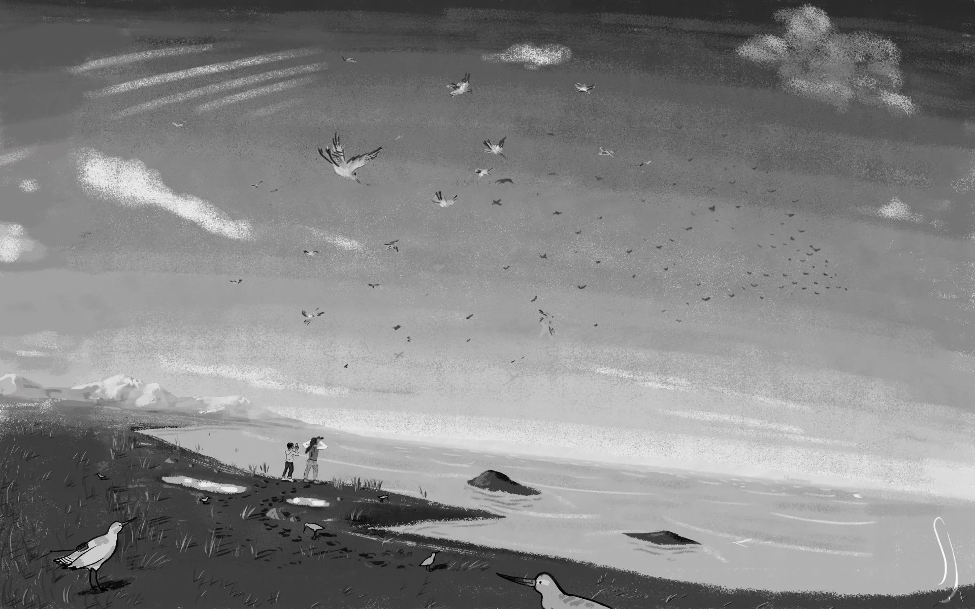 sketch of protagonists at Alaska beach watching birds