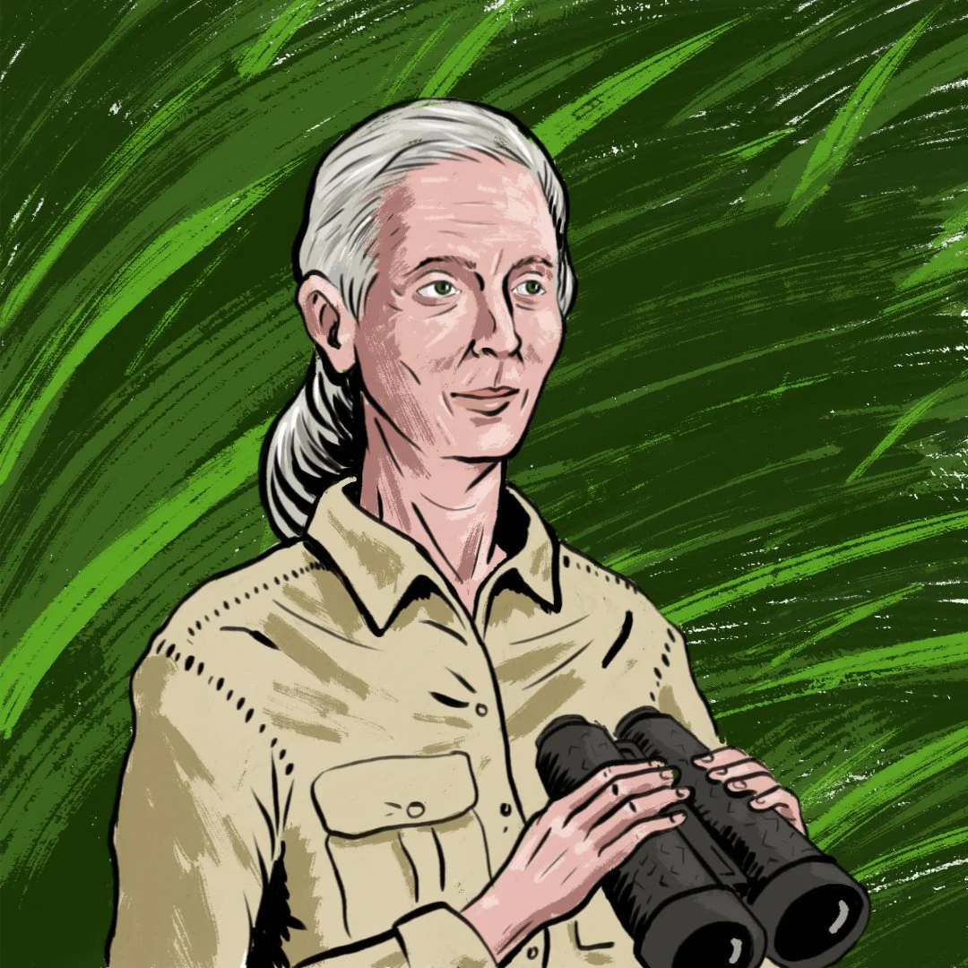 Stylized portrait of Jane Goodall