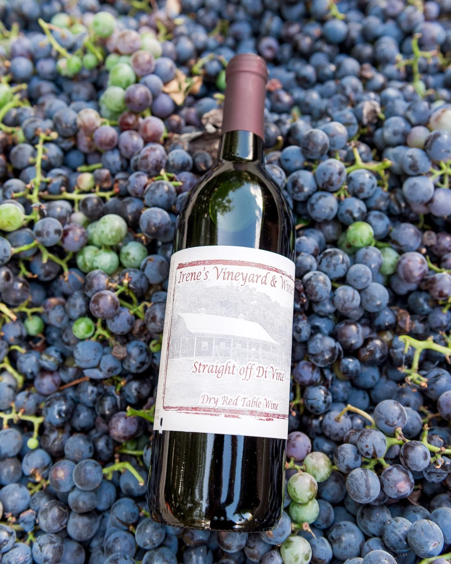 Product photos are fun for me. Sometimes a business is only needing their product captured on a solid backdrop, but other times may be flexible to get more creative.

Capturing product shots for @irenesvineyardandwinery - I had the opportunity to do 