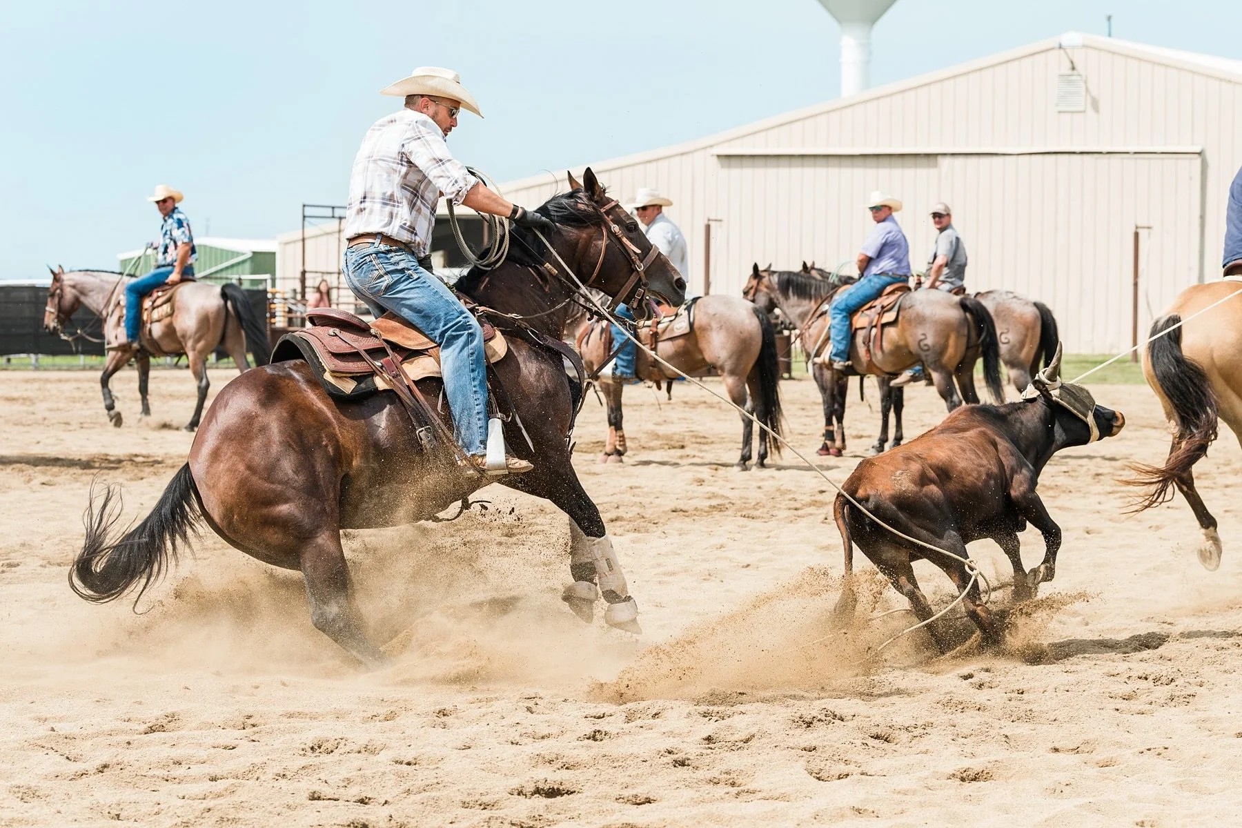 We had a fun weekend! Thankful for growth in our family, the reminder of the gospel, and God&rsquo;s love displayed to so many people! 🐴🐮

#illinoisphotographer #rodeophotography #teamroping #christineaustinphotography
