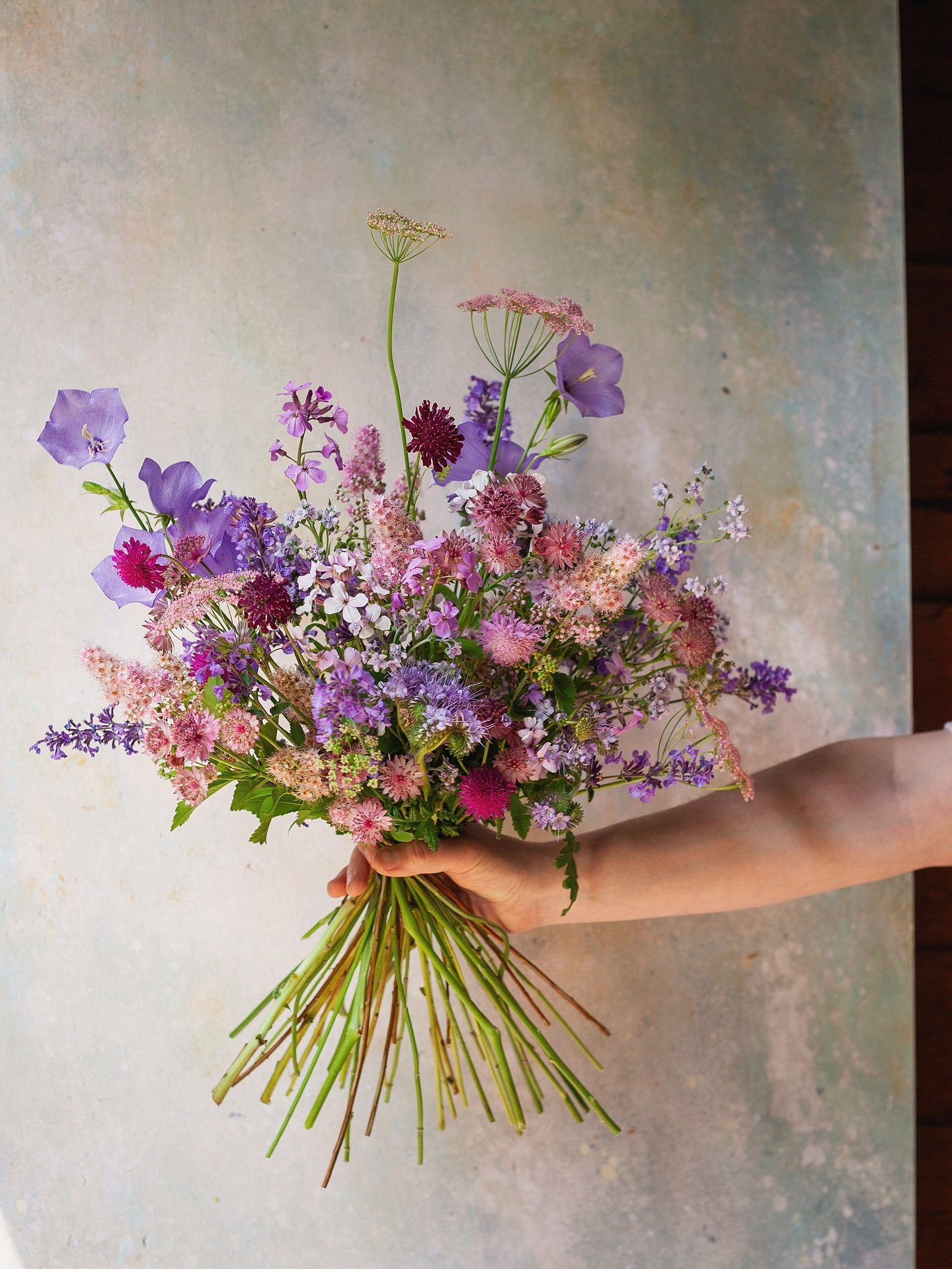 Bouncy bouquet.  Not loads of focal flowers around at the moment here but I do love all these more textual elements together 

Featuring: Campanula, astrantia, spirea, scabious, sweet rocket, nepeta &amp; Pimpinella major, &lsquo;Rosea&rsquo;. Backdr