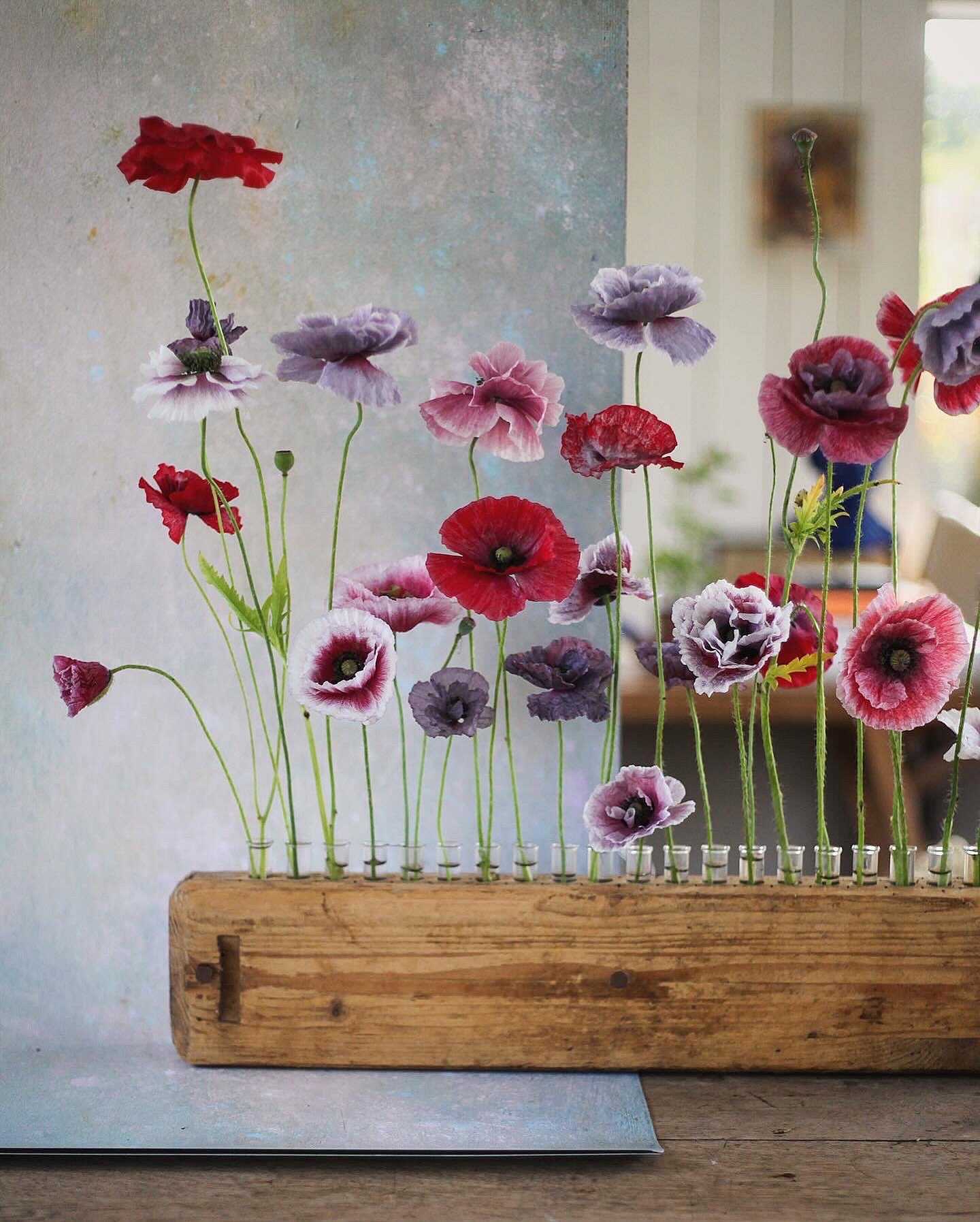 Amazing grey poppies from the cutting garden.  I am obsessed with these.  I get them as seeds from @milliproust and extras as plugs from @pickedatdawn so I have lots. 

Arranged in my favourite @jamjar_edit vintage cigar press vase and photographed i