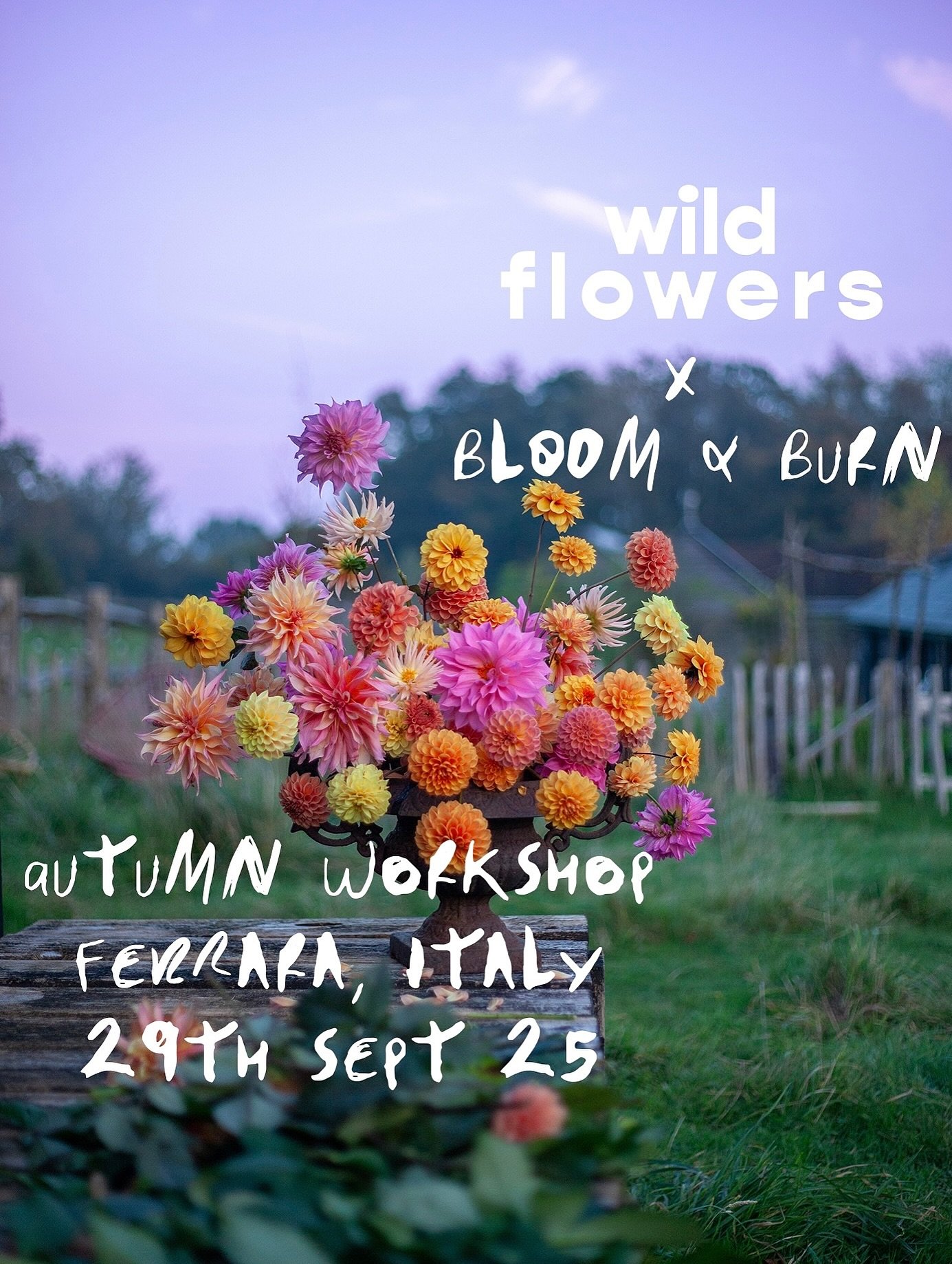 A new Autumn workshop&hellip;
Join me at the @wildflowers.lab farm outside Ferrara, Italy on 29th September for a day celebrating the best autumn flowers, hosted by owners, growers and florists Nicoleta and Fabio.

We&rsquo;ll begin with a tour of th