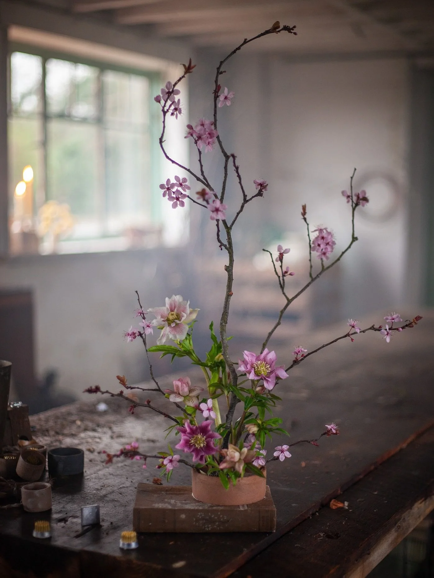 Finally had a few bits to arrange with. 5 hellebores and a couple of branches of very early blossom forced in the heat of the house. This is one of the joys of working with locally grown flowers, every stem feels precious as you watch and wait for th