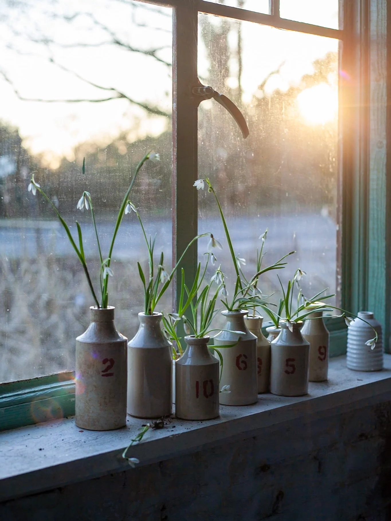Snowdrops on the windowsill as I ease myself back into making things. 

I haven&rsquo;t really been in this space much, it always feels flat and a bit sad when there&rsquo;s nothing to work with, so I&rsquo;ve avoided it.  Which means it&rsquo;s stil