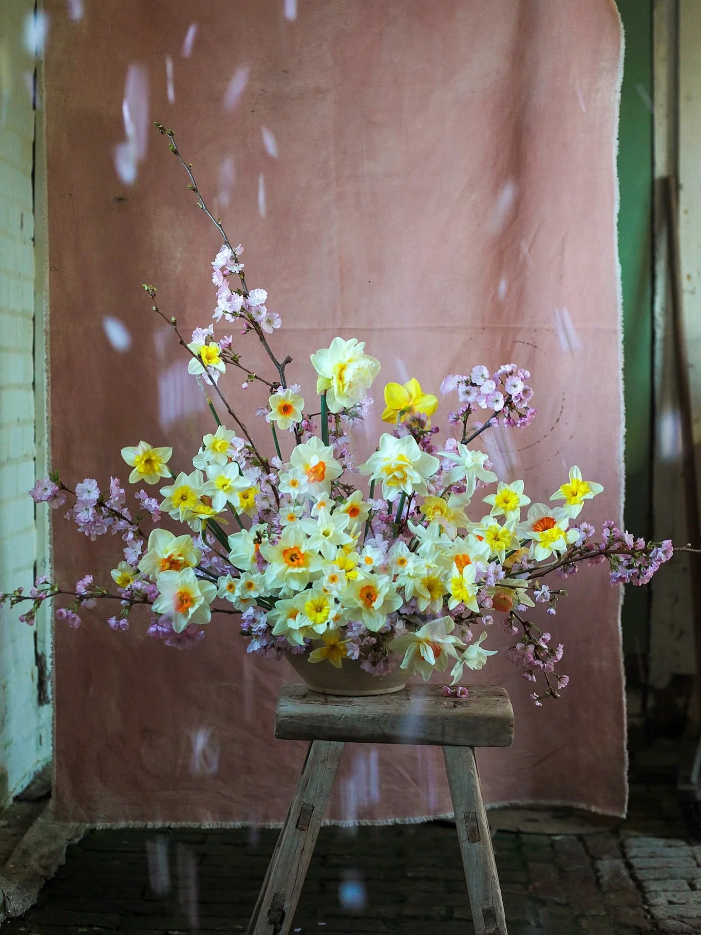 Daffodils.  I don&rsquo;t remember planting this many but they just keep coming! #daffodil #flowerstudio #flowerclass #springgarden #floweraesthetic