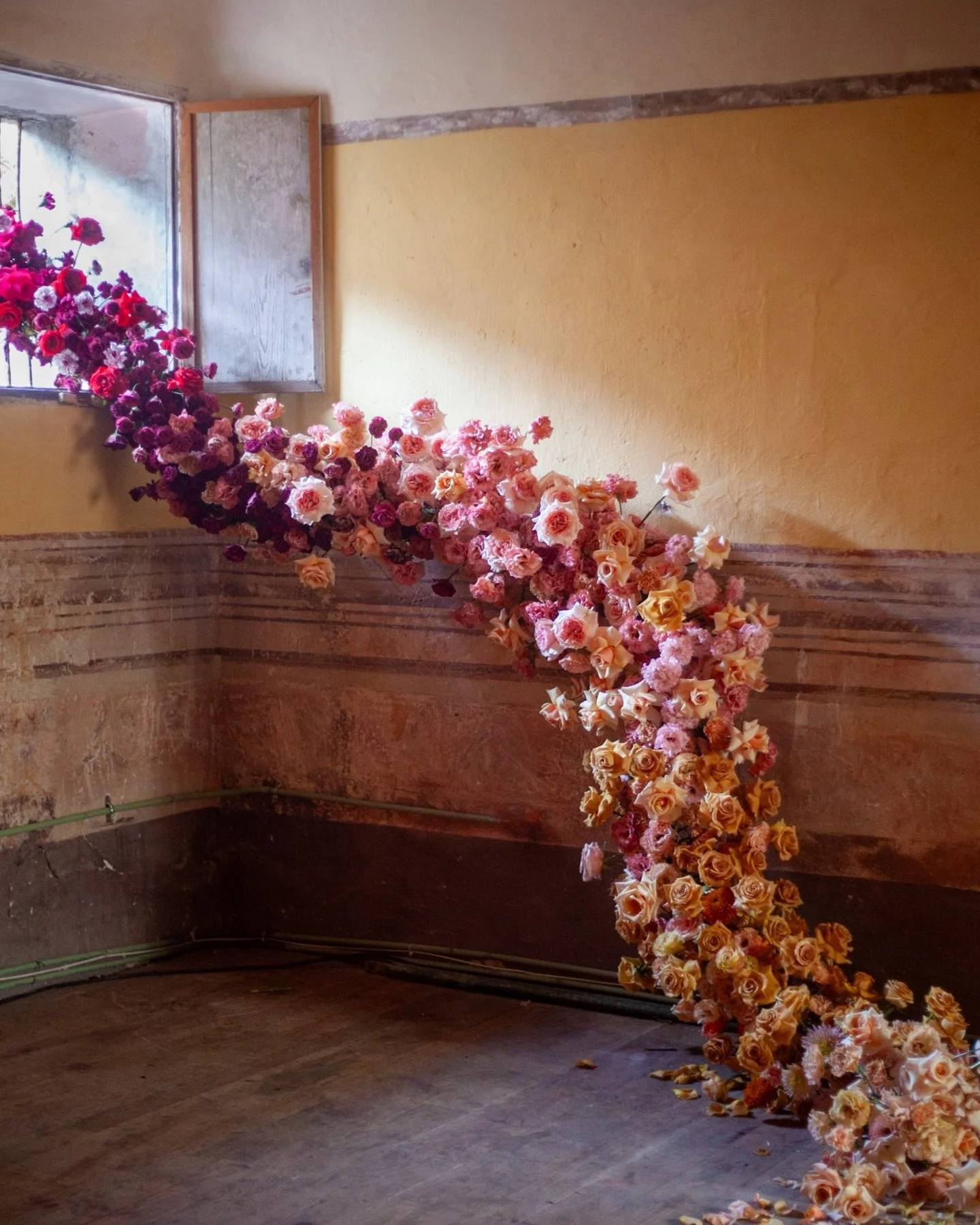 Memories of Mexico.

The @flowerhousemexico book is starting to make its way out into the world today and it reminded me of this amazing trip. 

When I started out in flowers I never dreamed that I would get to travel and work with designers that I h