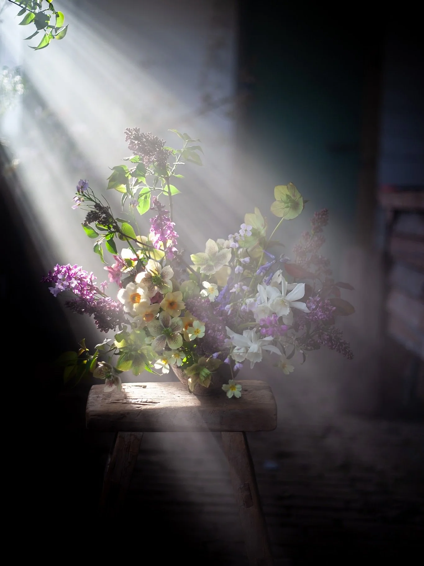 Back in the studio filled with all of the best locally grown blooms and loads from my own patch here in Kent. 

Discovered that the primroses are a surprisingly hardy little flower and stand up well to cutting and faffing. Went a bit overboard with t