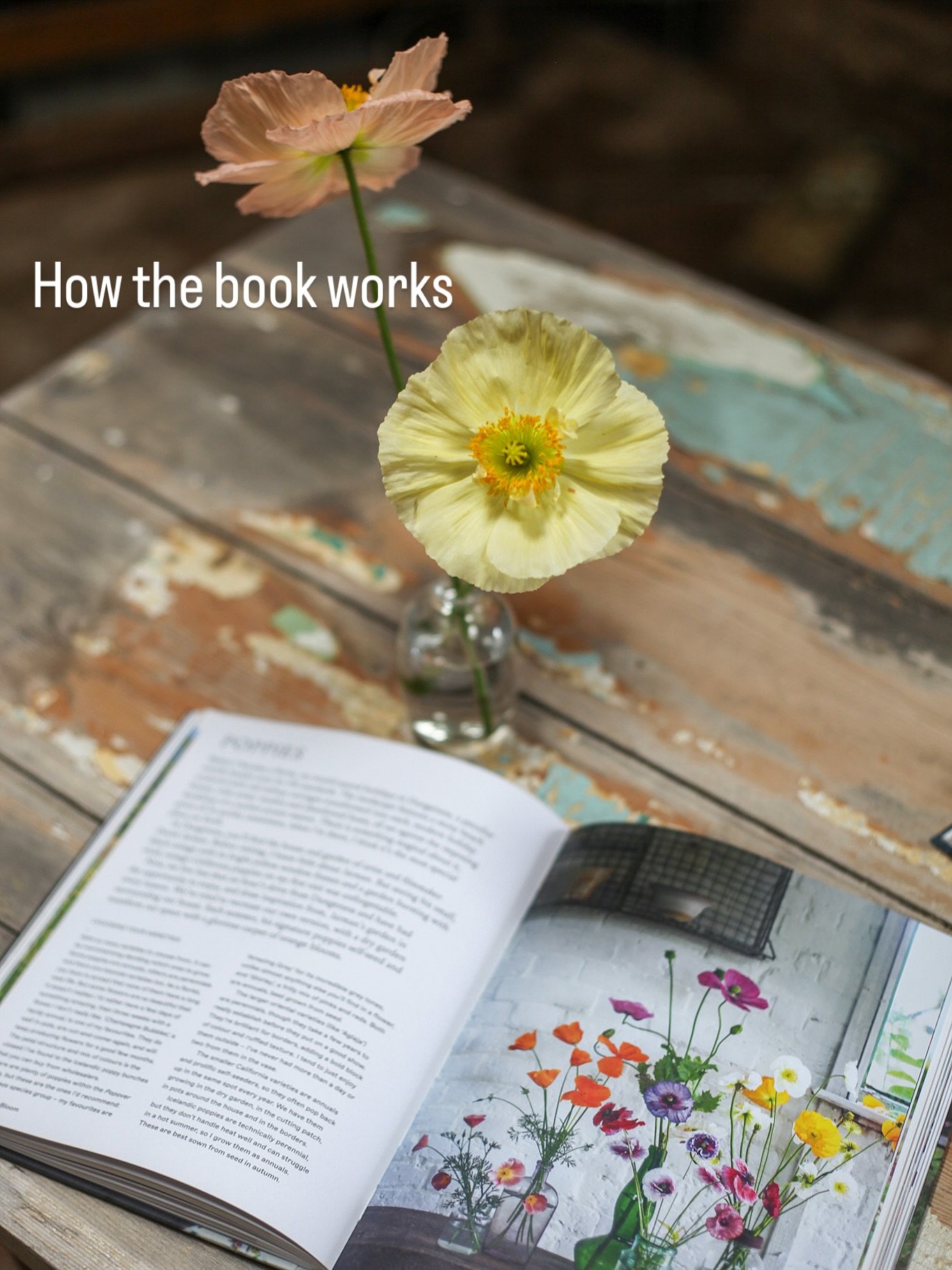 I realised I hadn&rsquo;t actually shown how the book works. 👆🏻🫠

It&rsquo;s practical, built around the seasons and I hope you come back to it until the pages are scrappy and covered in soil!

Life in Bloom is out on the 23rd of this month.  You 