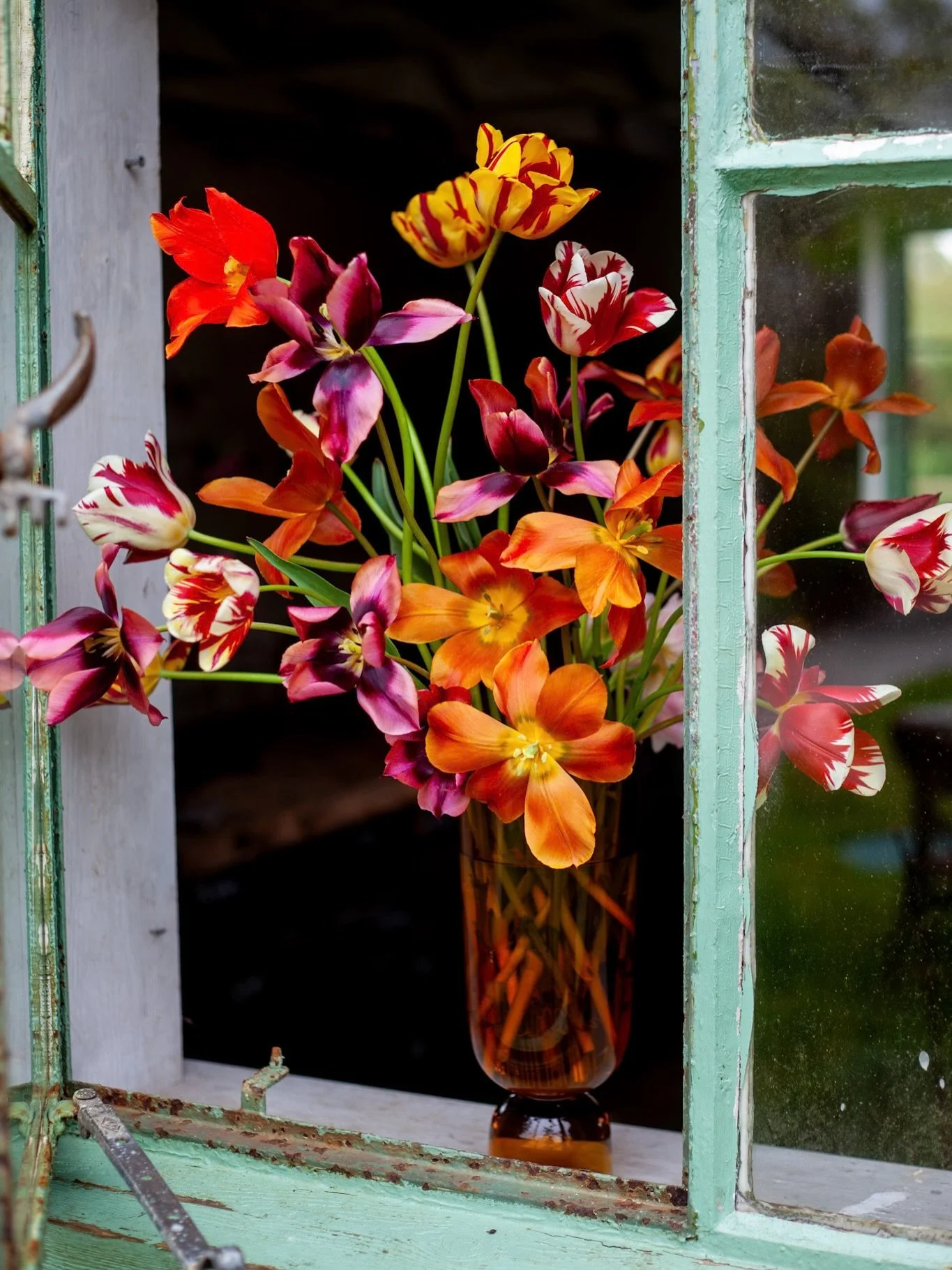 Some of the tulip shots that didn&rsquo;t make the cut. 
Not long now

Life in Bloom is out next week.  Pre-order links in bio.  Its on offer on Amazon or you can order though your local bookshop 📕 vase from @haydesign 

#debutauthor #flowerbook #li