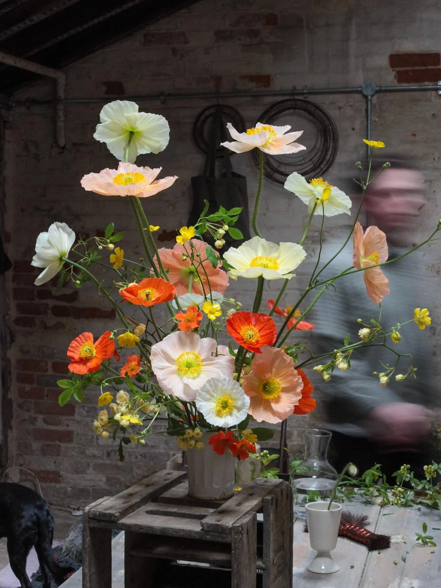 Poppy appreciation post.  Can&rsquo;t get enough of them this year.  Most of these are from the glasshouses @water.lane arranged in a pot by @via_ceramics_studio #poppyflower #sustainablefloristry #centrepiece #springflowers🌸 #flowerstudio