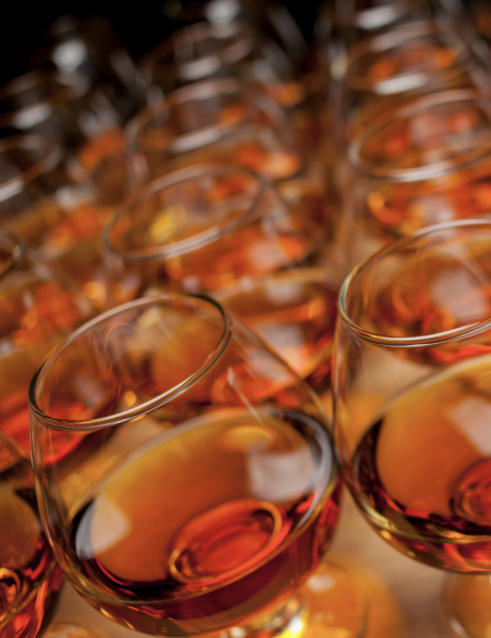 Cognac Section_Camus_Page_1.png