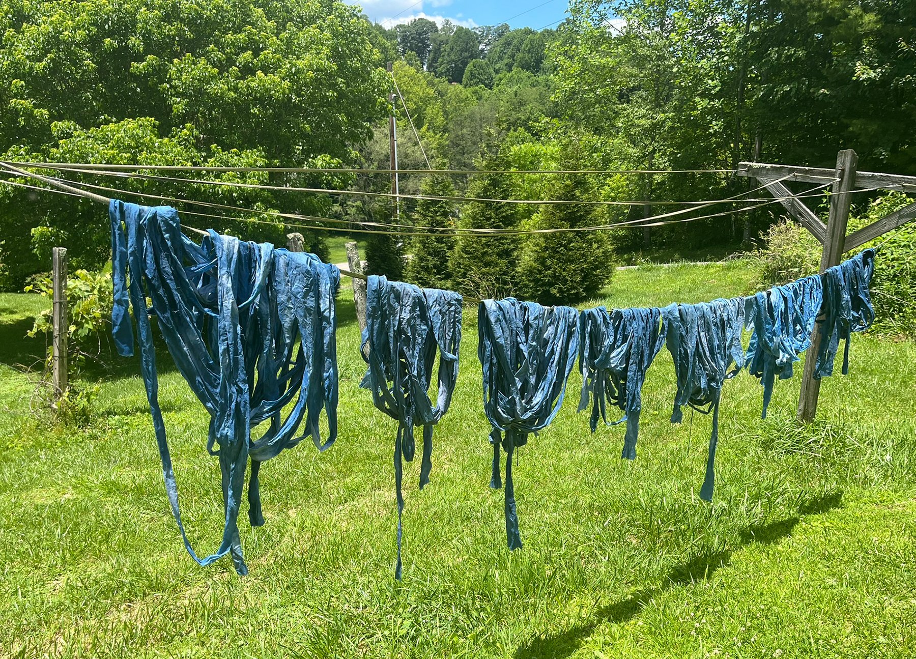 Cotton_Line.jpg