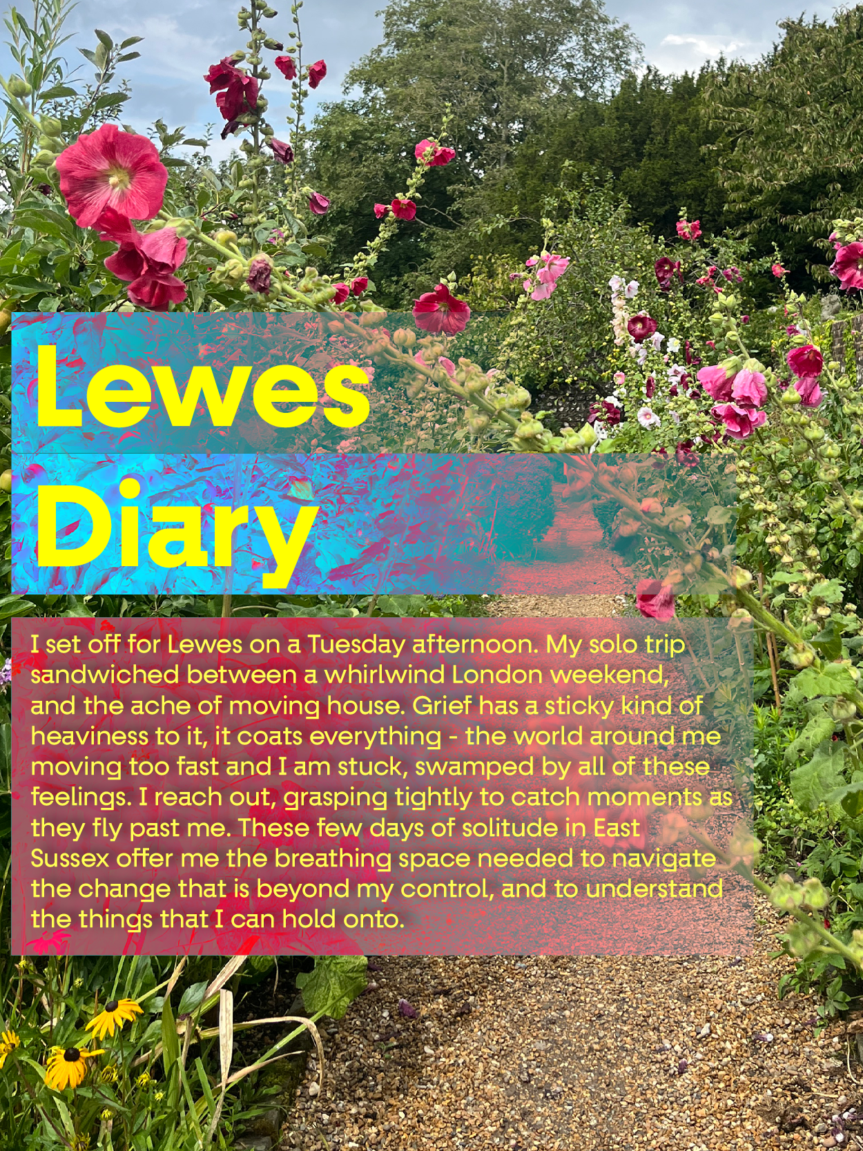 Substack post called 'Lewes Diary.
