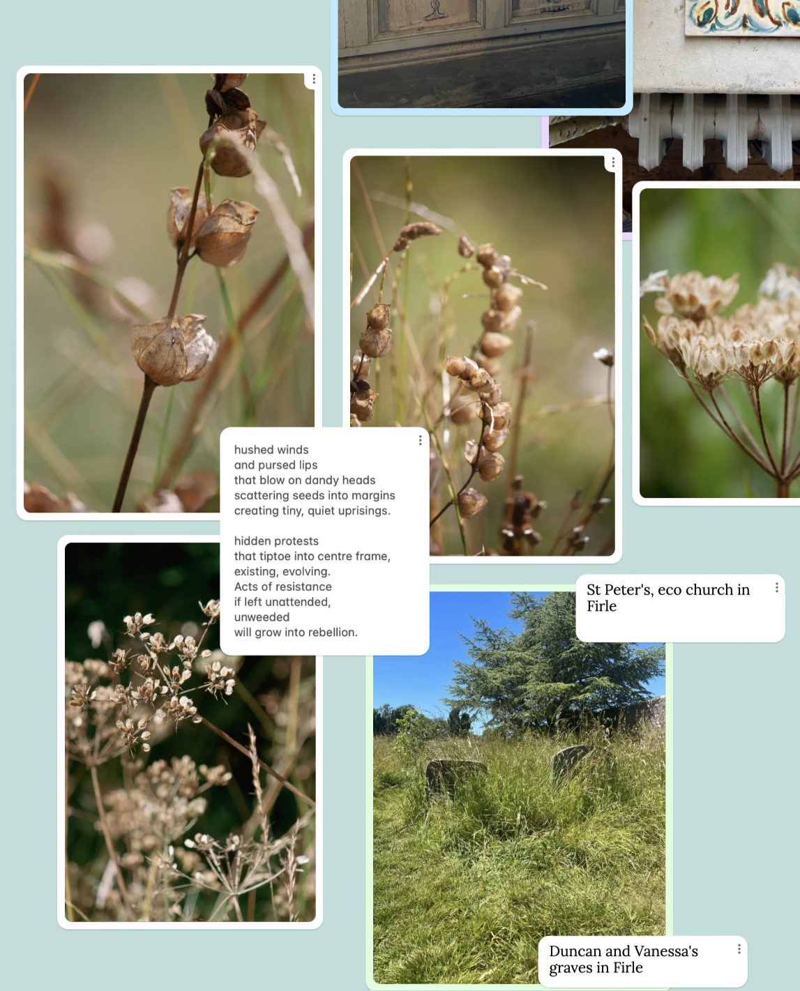 Close up of artwork created as part of unweeded with Zara sands and Kim Thompson. Collage work that explores the life and work of Duncan Grant as an artist, conscientious objector, father, friend and lover.