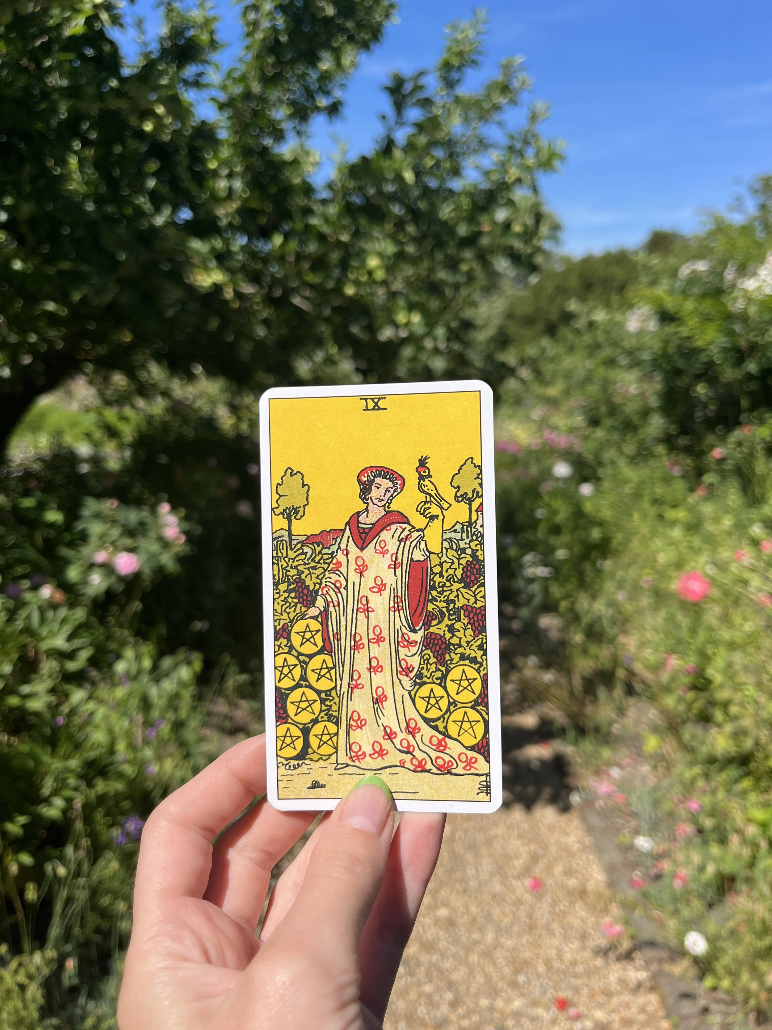 9 of pentacles tarot card in the gardens of Charleston Farmhouse. Pulled as part of a project on Duncan Grant and Vanessa Bell.