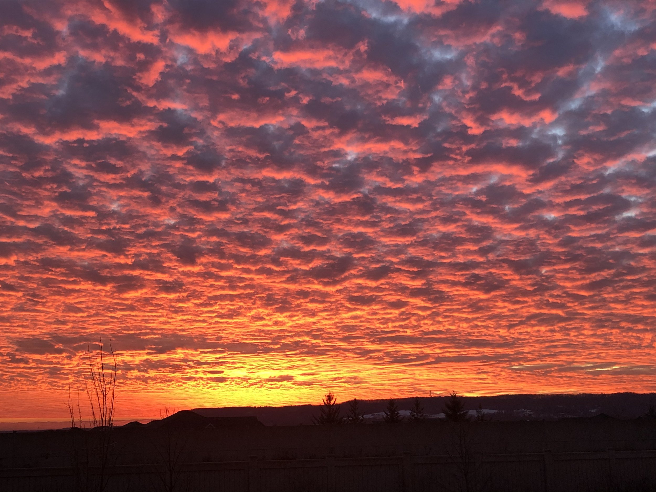A vibrant sunset with orange, red, and purple clouds over a landscape with trees and hills.