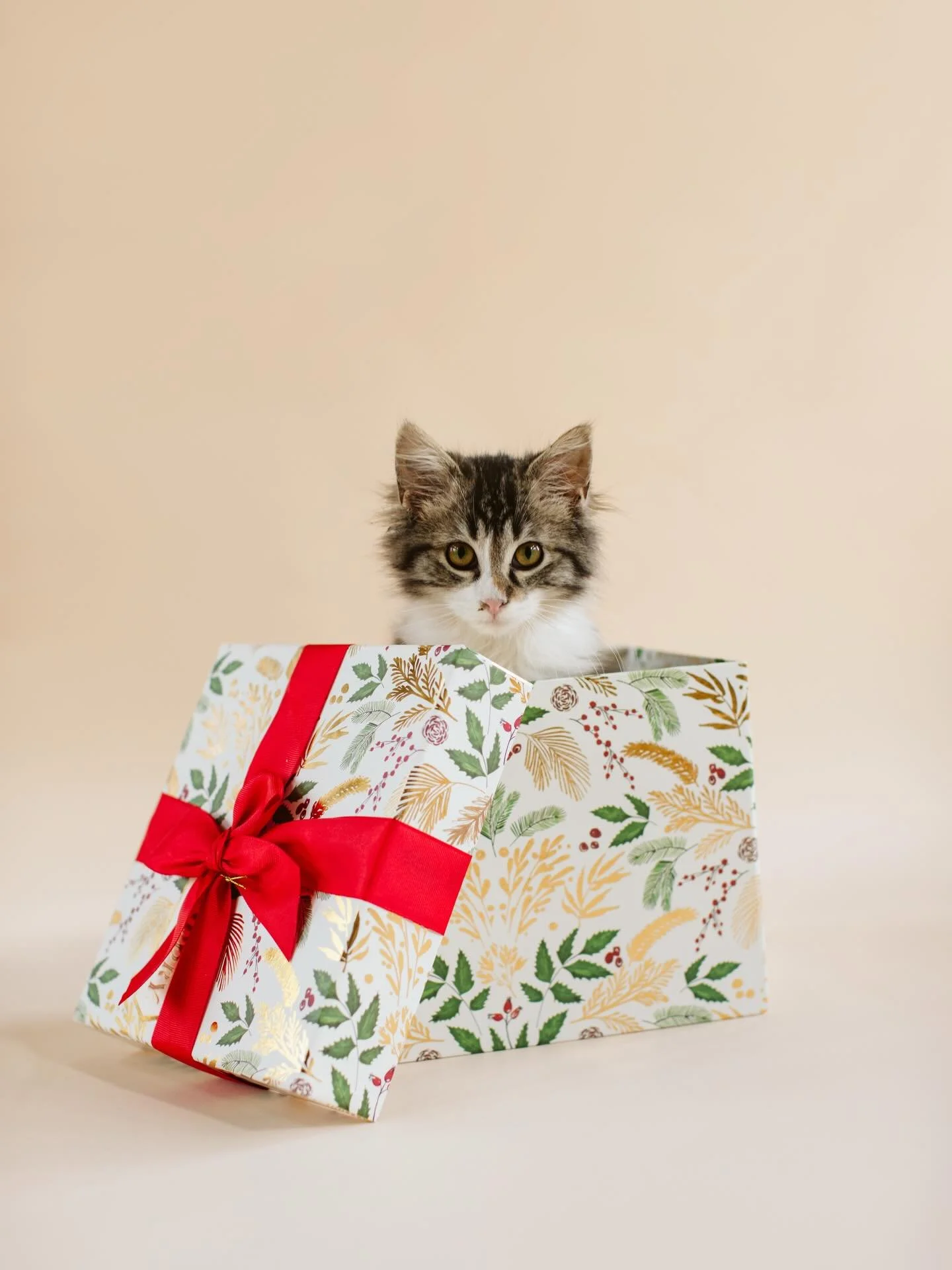 This Sunday is our Home for the Holidays Market, and to celebrate, we&rsquo;re doing a little giveaway! One lucky winner will receive five entry tickets to the market plus a fun little surprise. 😉

Here&rsquo;s how to enter:
✨ Tag your family or fri