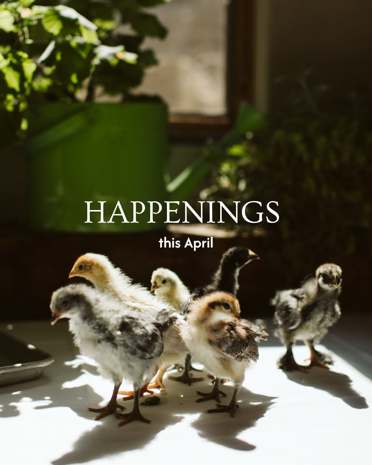 No April Fools joke from us this year&mdash;but we do have a full lineup of fun waiting for you this month!

Come learn to make pizza from scratch, hit the trails with our Run920 crew, or brush up on your brisket skills just in time for summer. We&rs