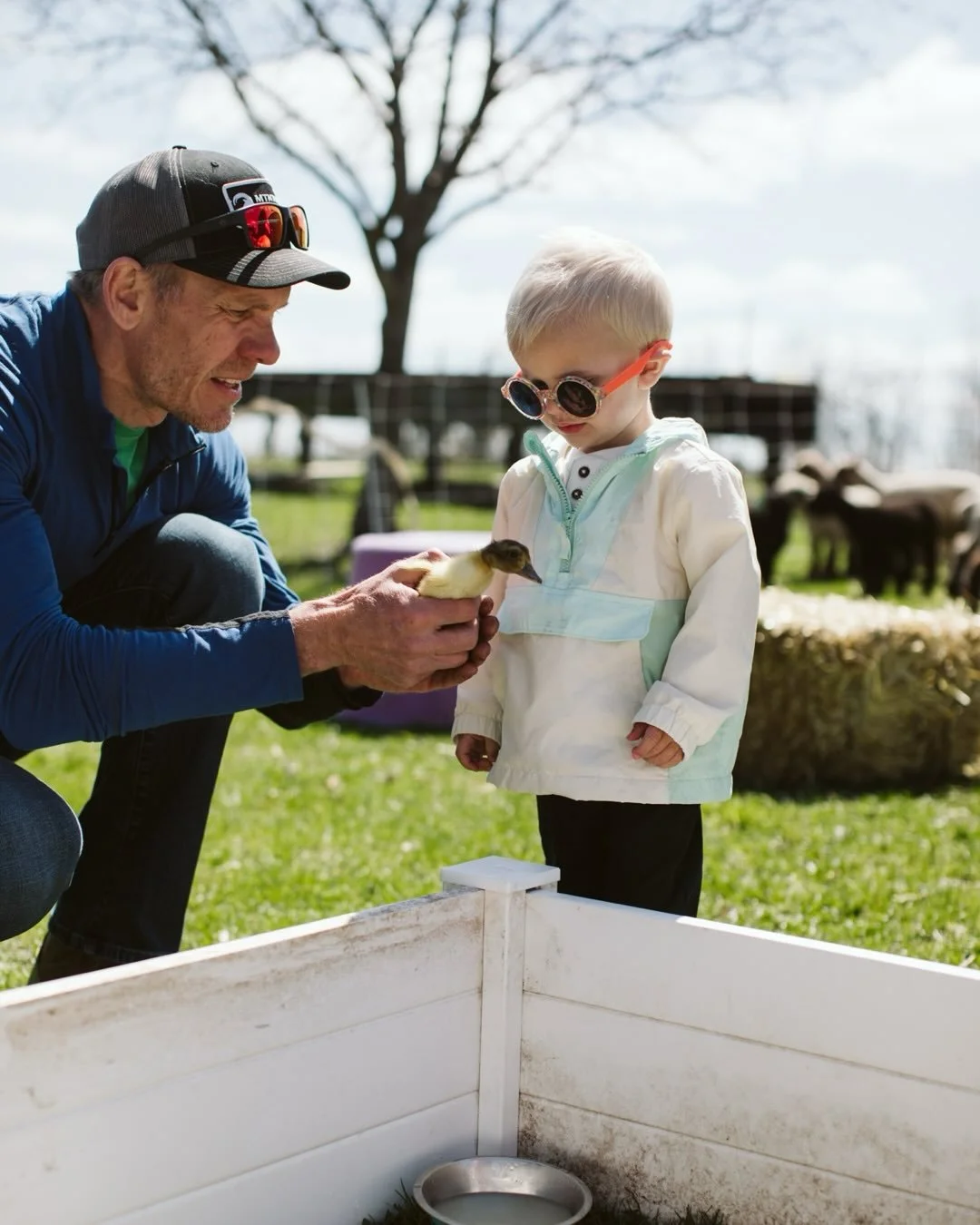 Our Spring Festival is tomorrow from 3&ndash;7pm and we can&rsquo;t wait to spend the afternoon with you! Bring your picnic blankets and lawn chairs, come hang out on the farm, visit with the animals, and shop from our incredible lineup of vendors. W