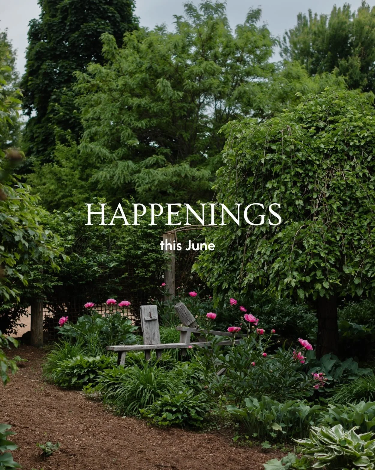June is packed with exciting classes and events, and we can&rsquo;t wait to spend the start of summer with you! From our brand-new Yogalates class with @dustinandbritt to a beautiful Kokedama workshop with @theseedguild, there&rsquo;s something for e