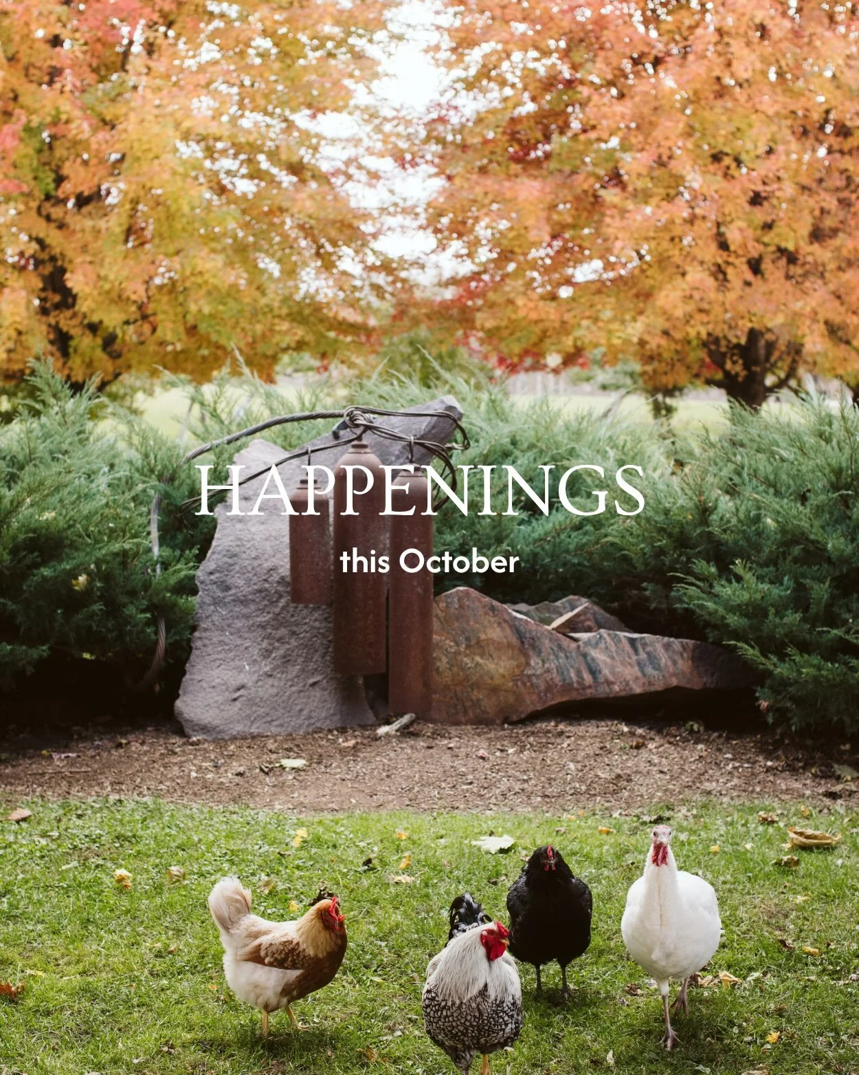 Settle into autumn with us. 🍁 Join us for a month of cozy and festive gatherings, seasonal events, and time well spent together all October long.

We&rsquo;d love to hear your ideas for winter events and classes&hellip; drop them in the comments bel