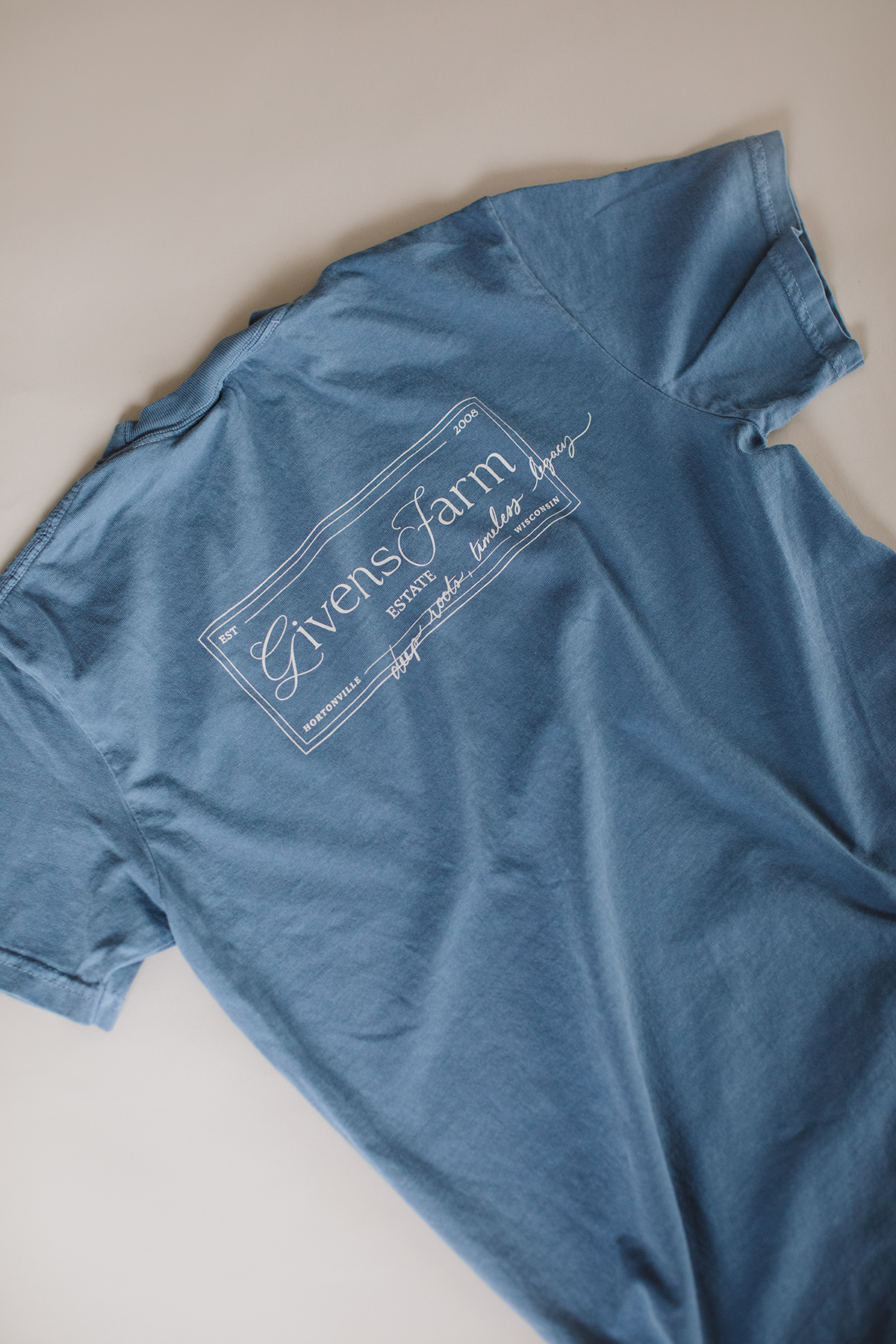 Homestead_Blue_Short_Sleeve_Tee_Back.png