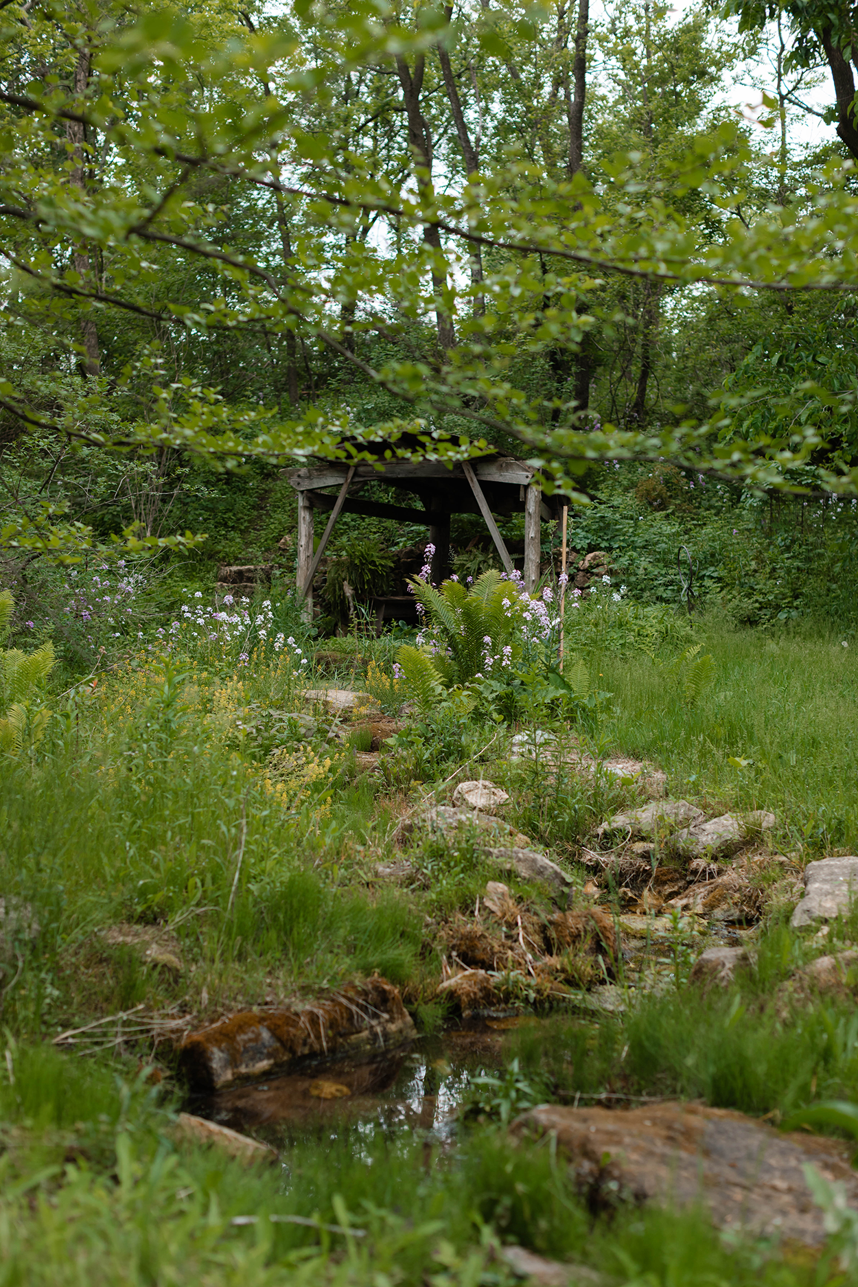 Creek winding through the landscape with a small wooden structure in the background.