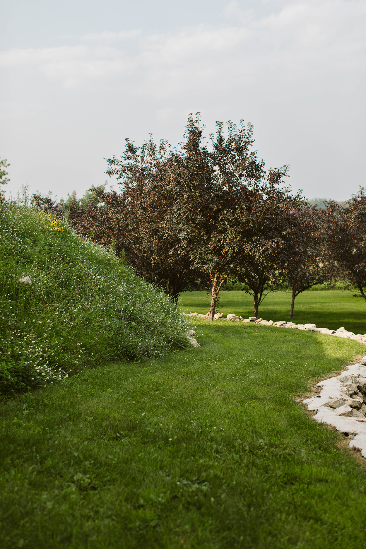 Hillside prairie above a stone wall.