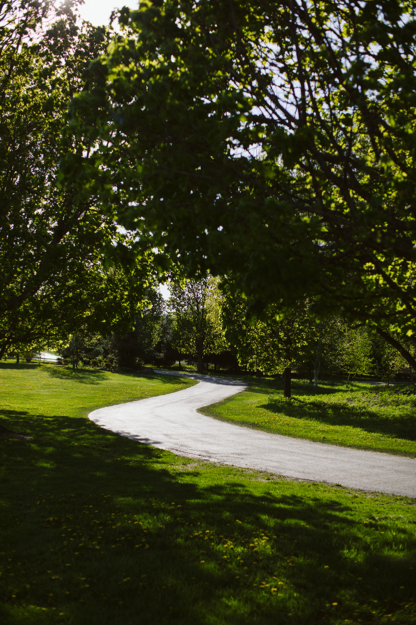 A weaving road surrounded by a manicured lawn and trees.