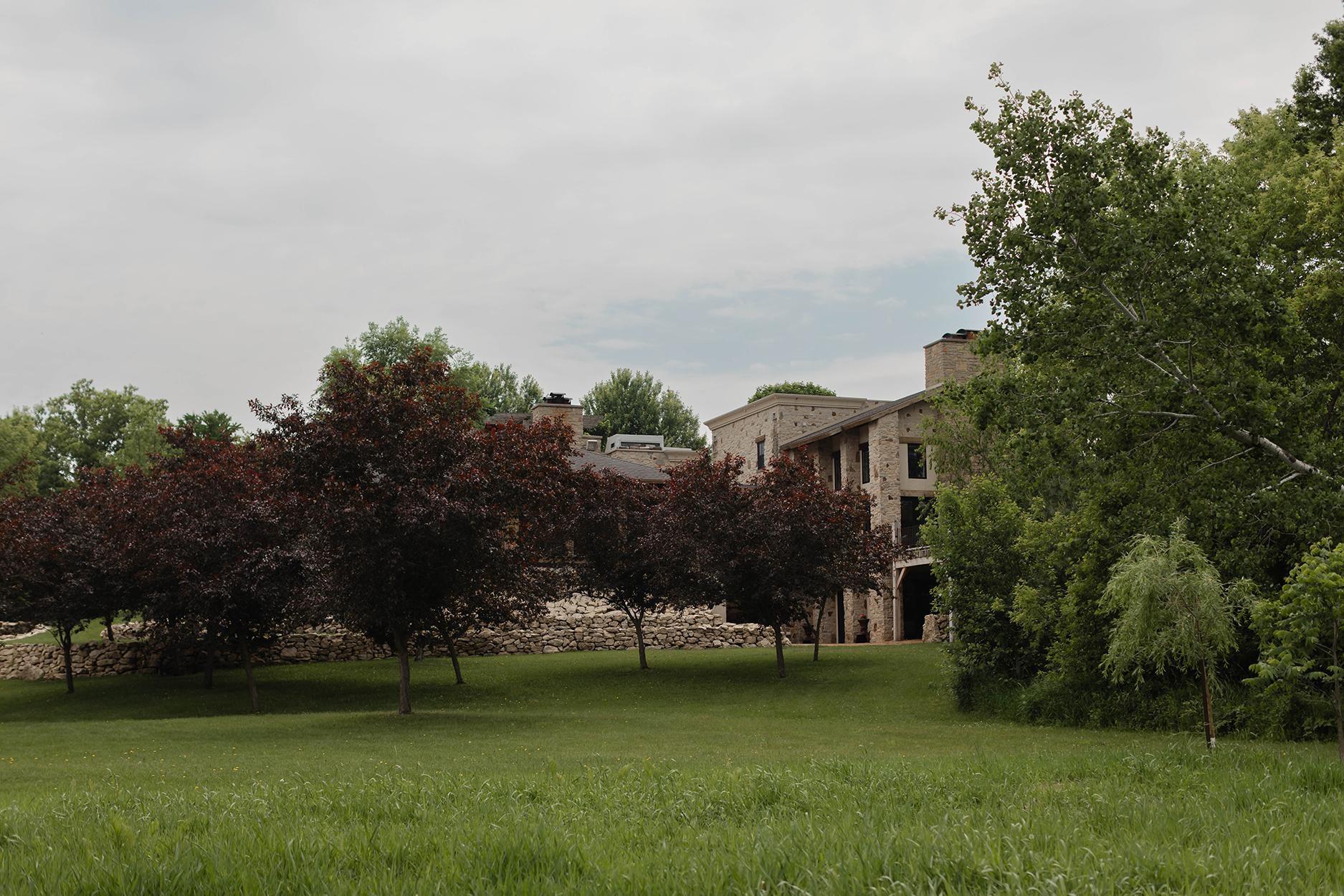 Villa in the distance hidden behind trees and a red plum orchard.