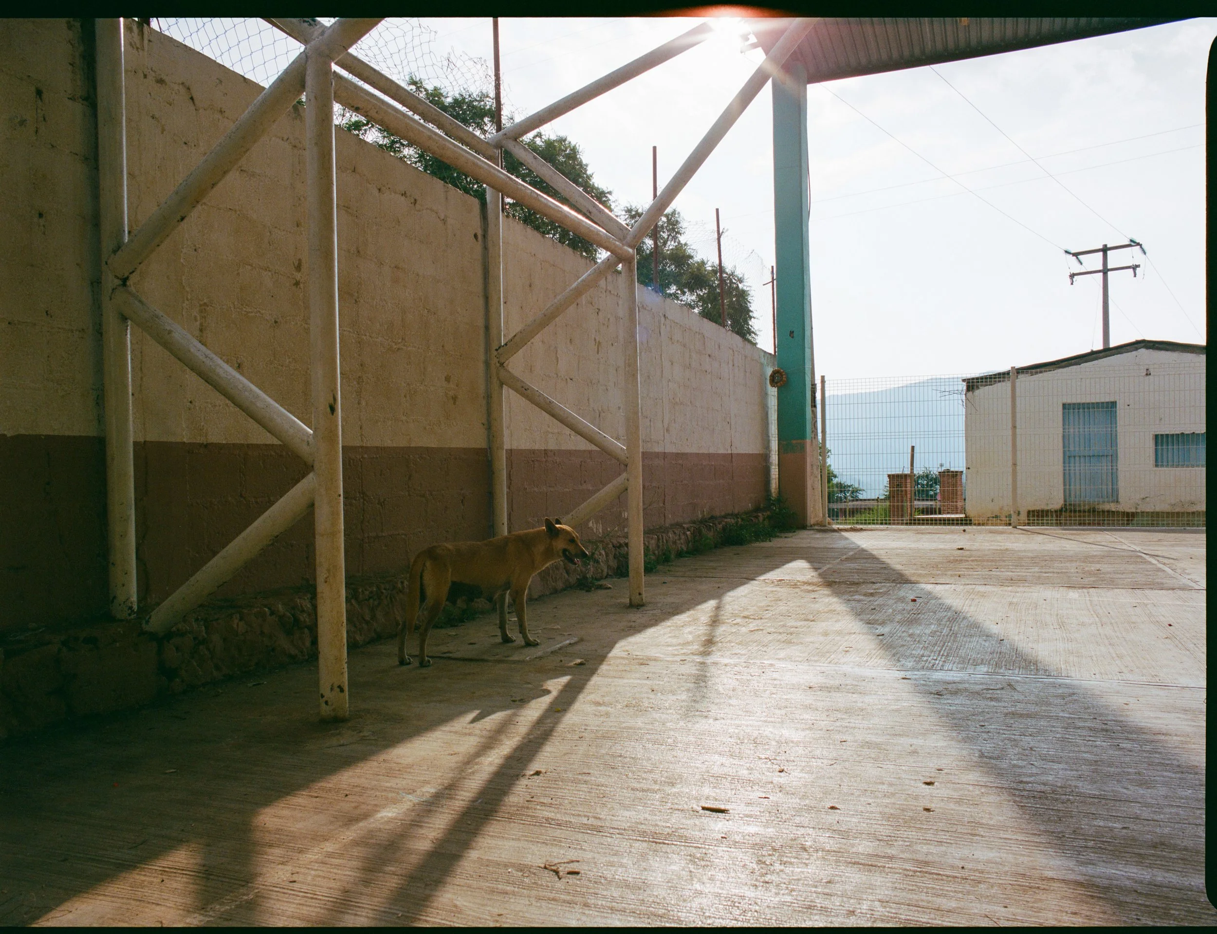 Restored Chappin-101.jpg