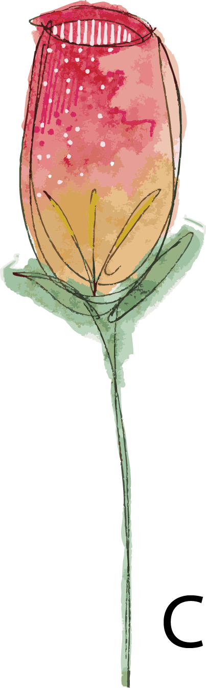 Pink watercolour rose bud with light centre from the Hannie Art Studio end-of-run floral collection.