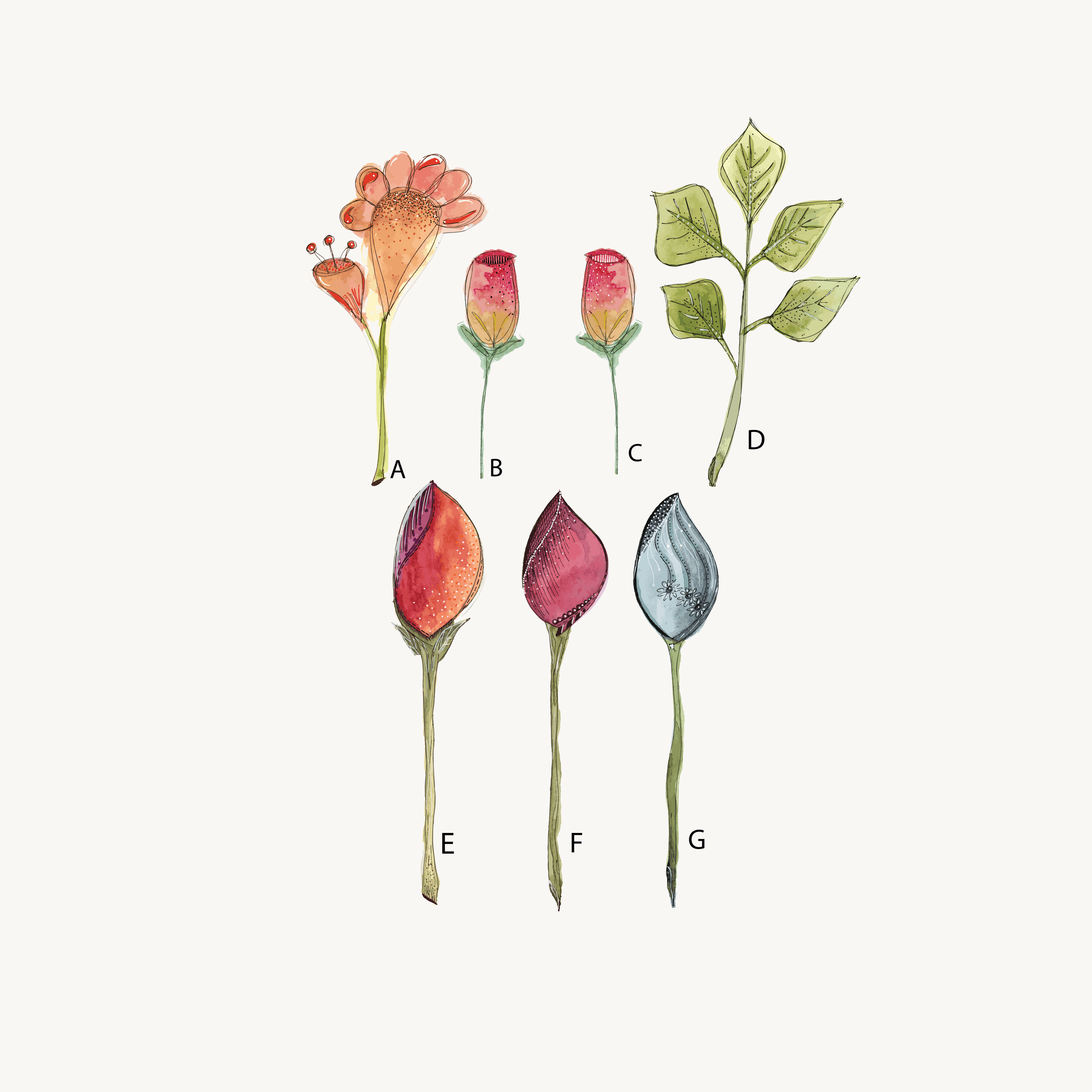 End-of-Run Floral Pair