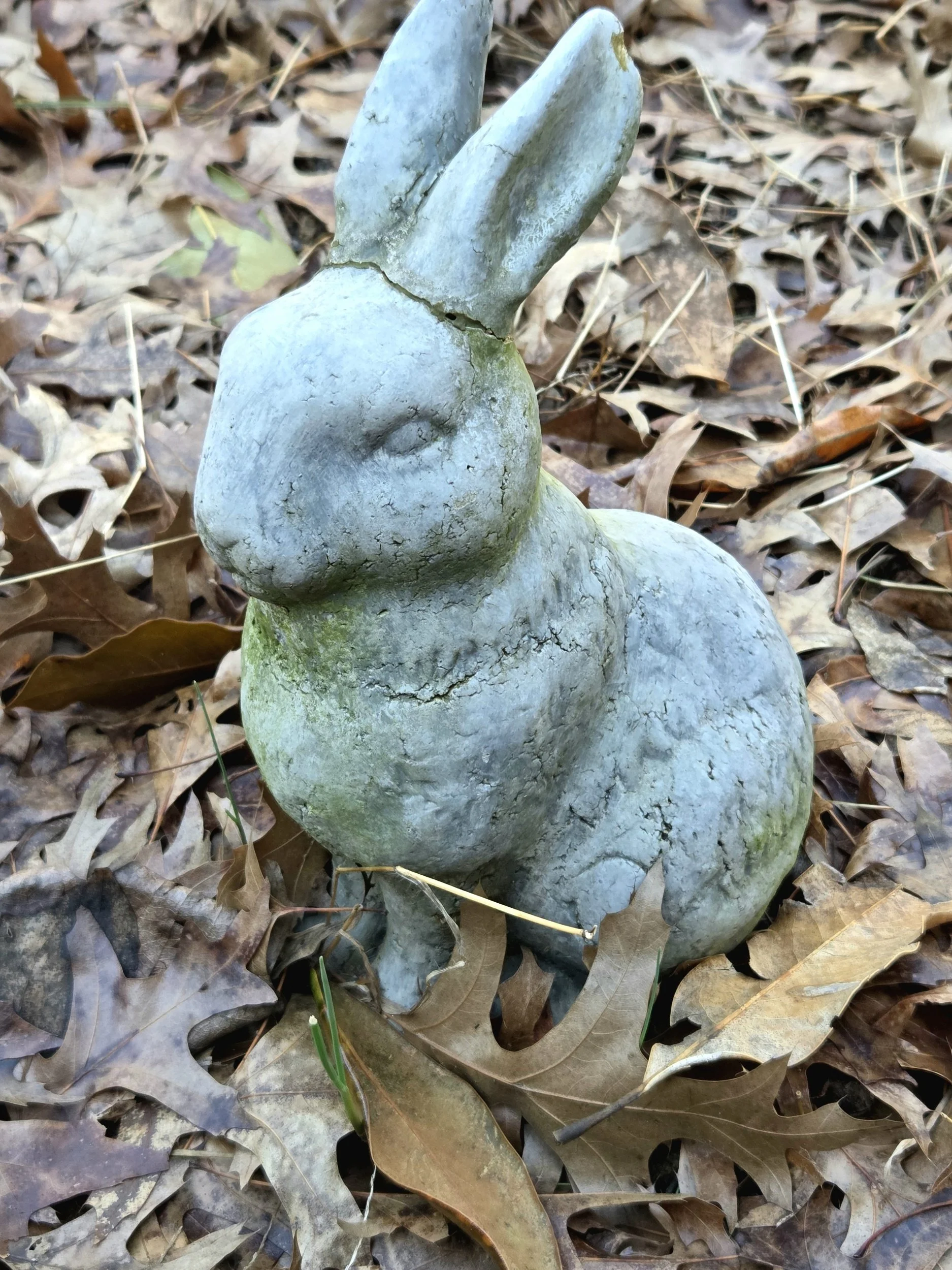 stone bunny in the spring