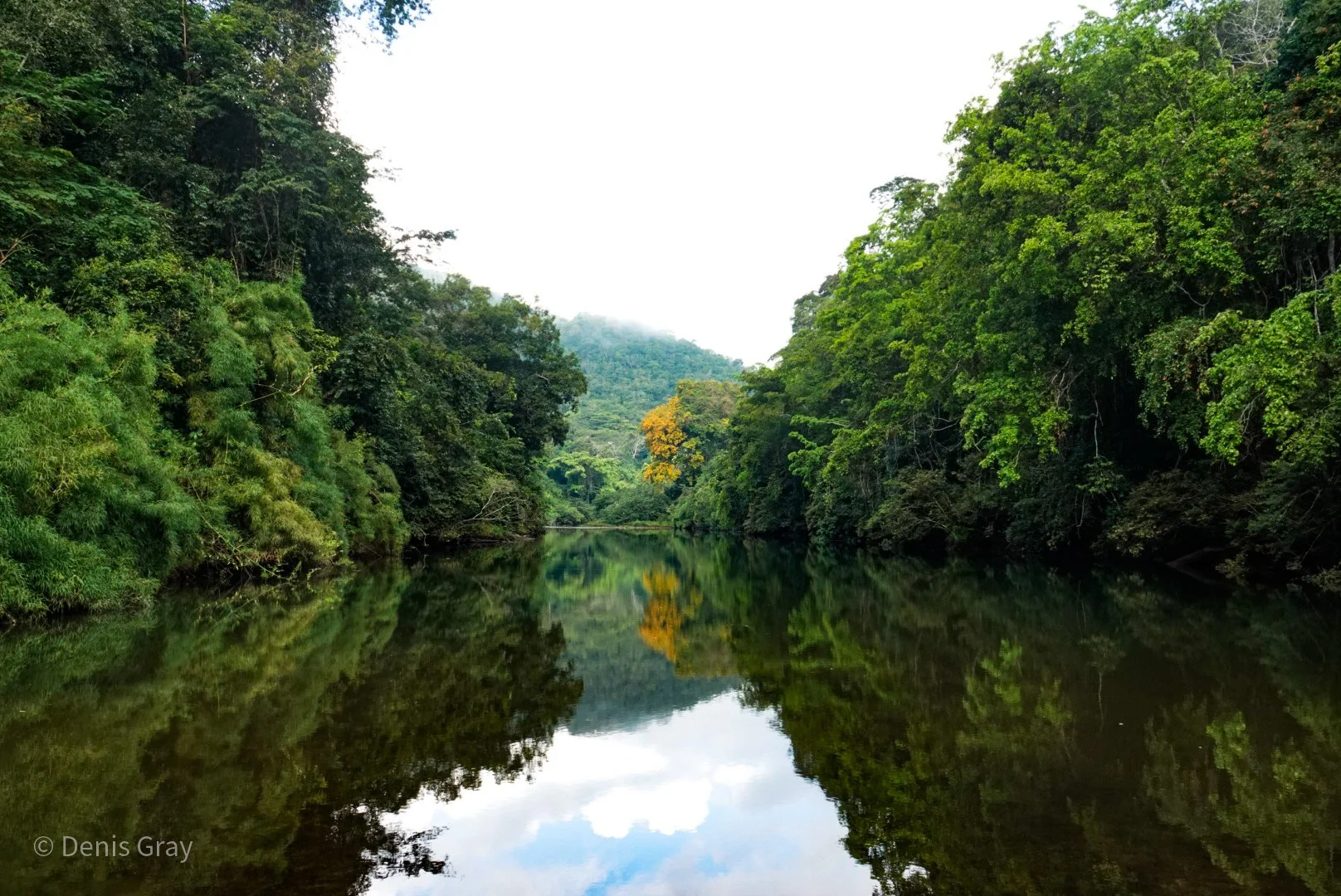 Another Macal River view, western Belize