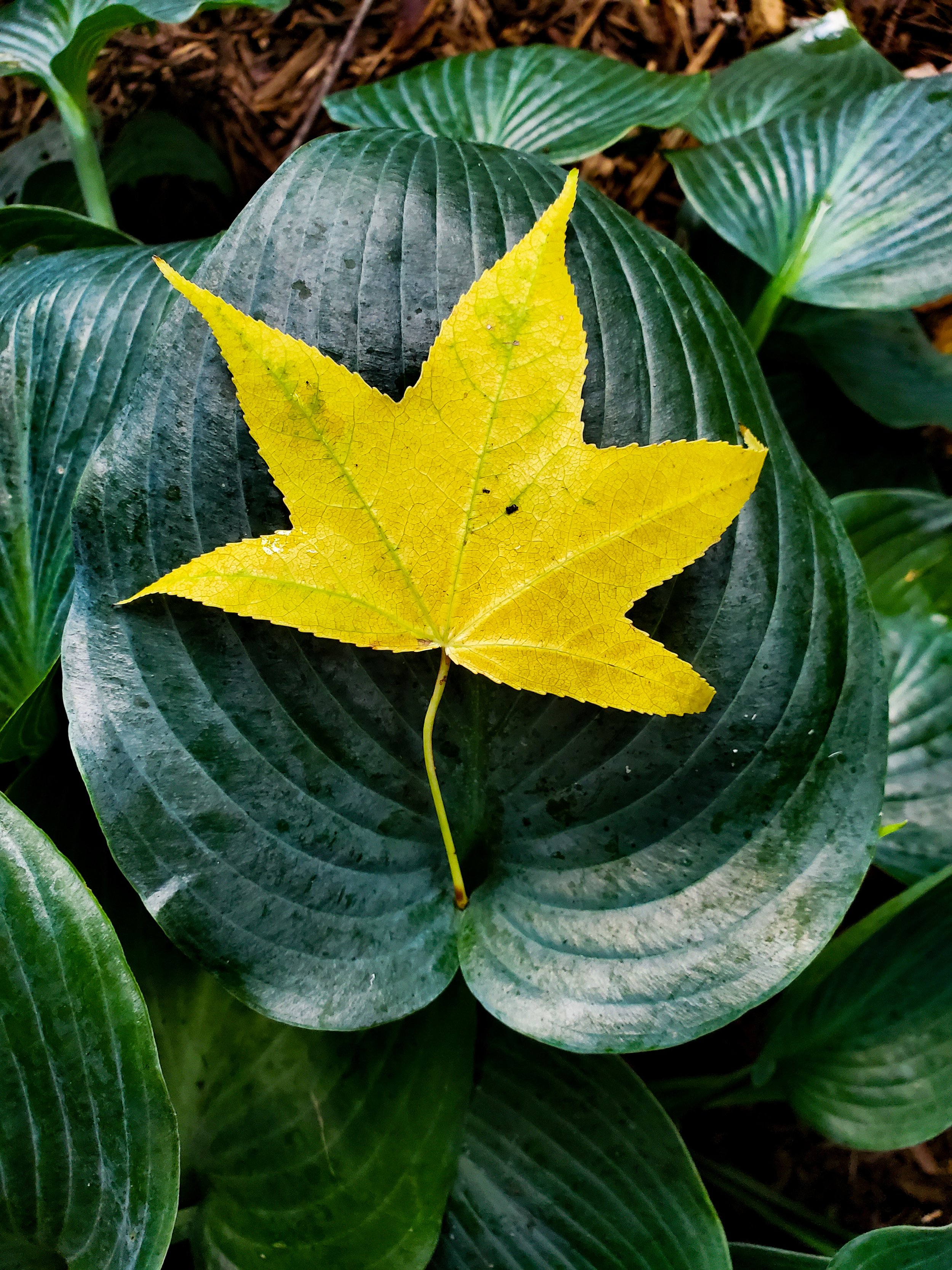 20220806_183433.jpg