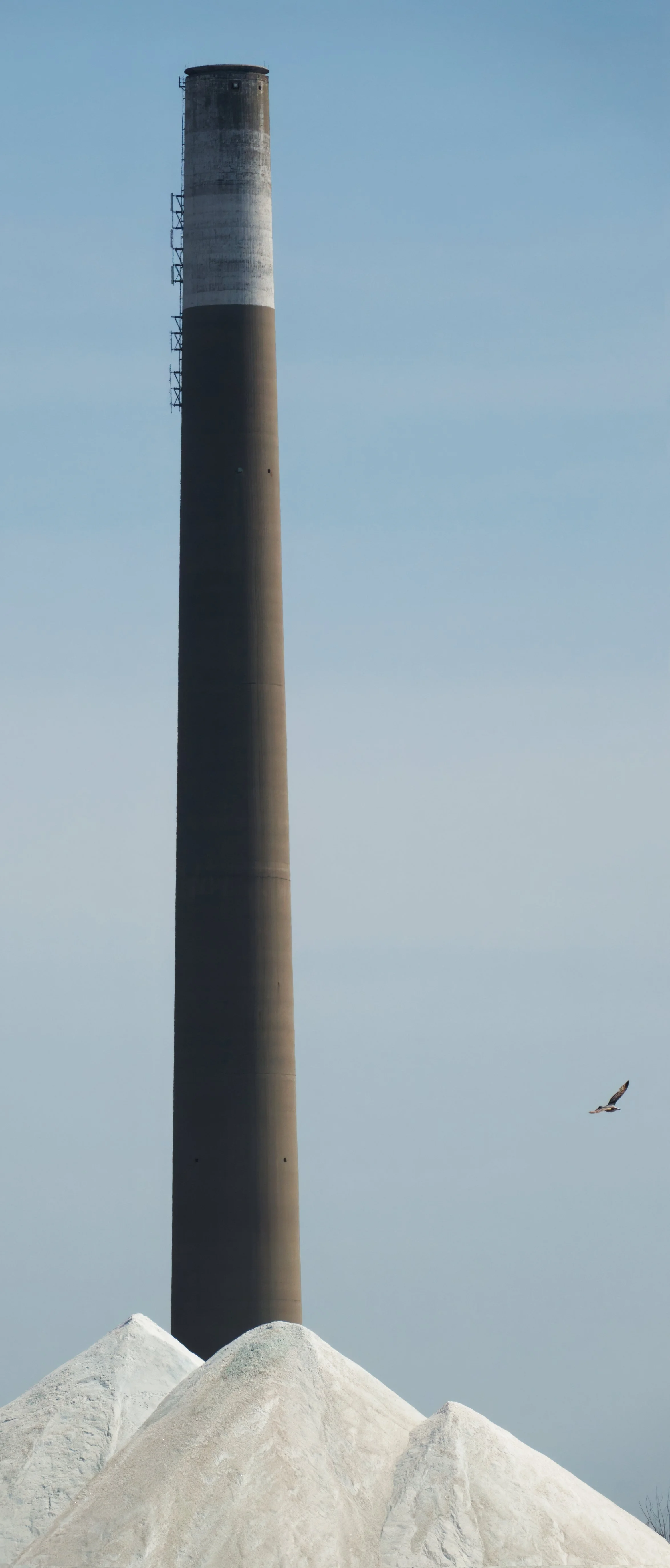 Chimney, Salt, Gull, Toronto Waterfront