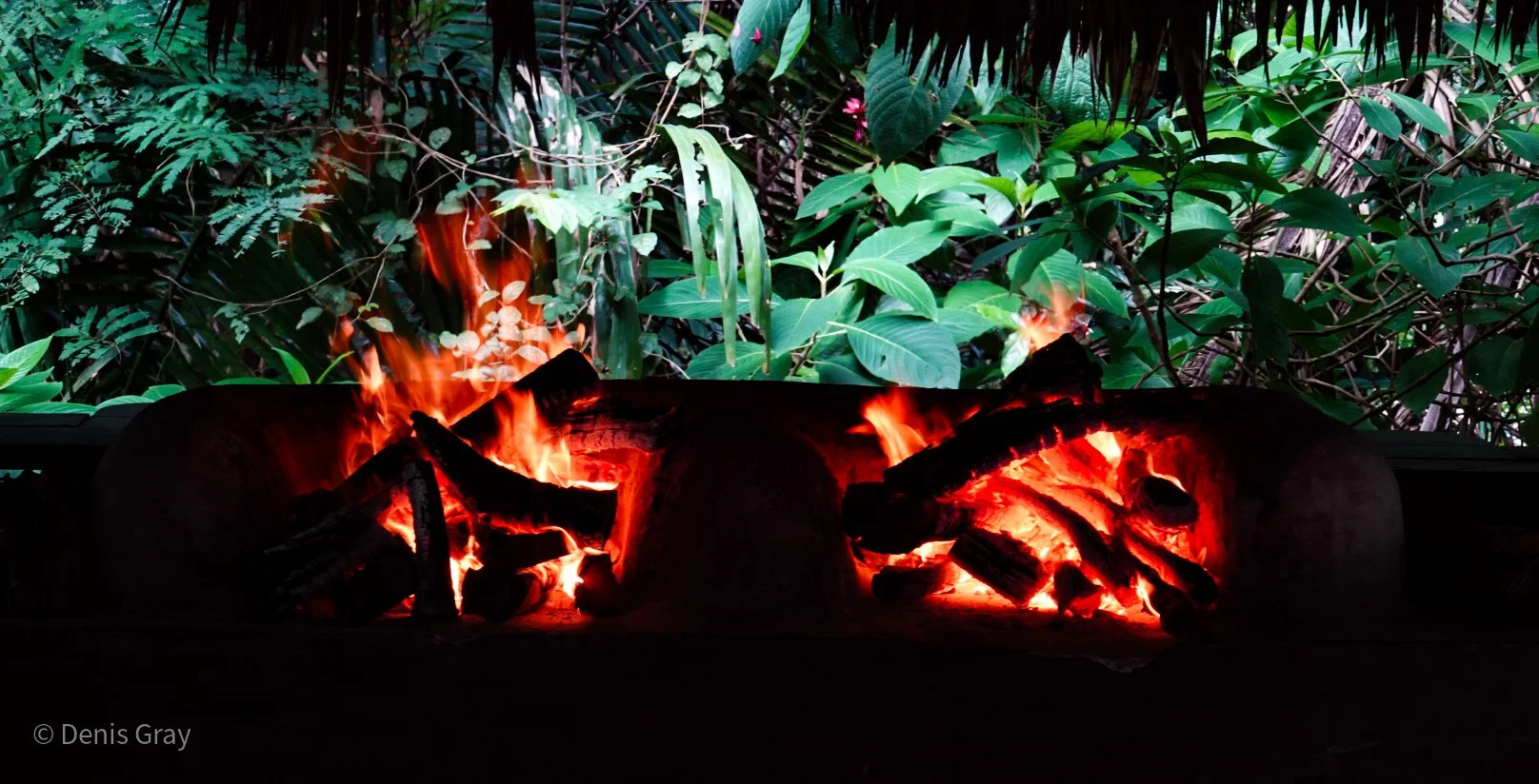 Fire prep for dinner in the jungle, Western Belize