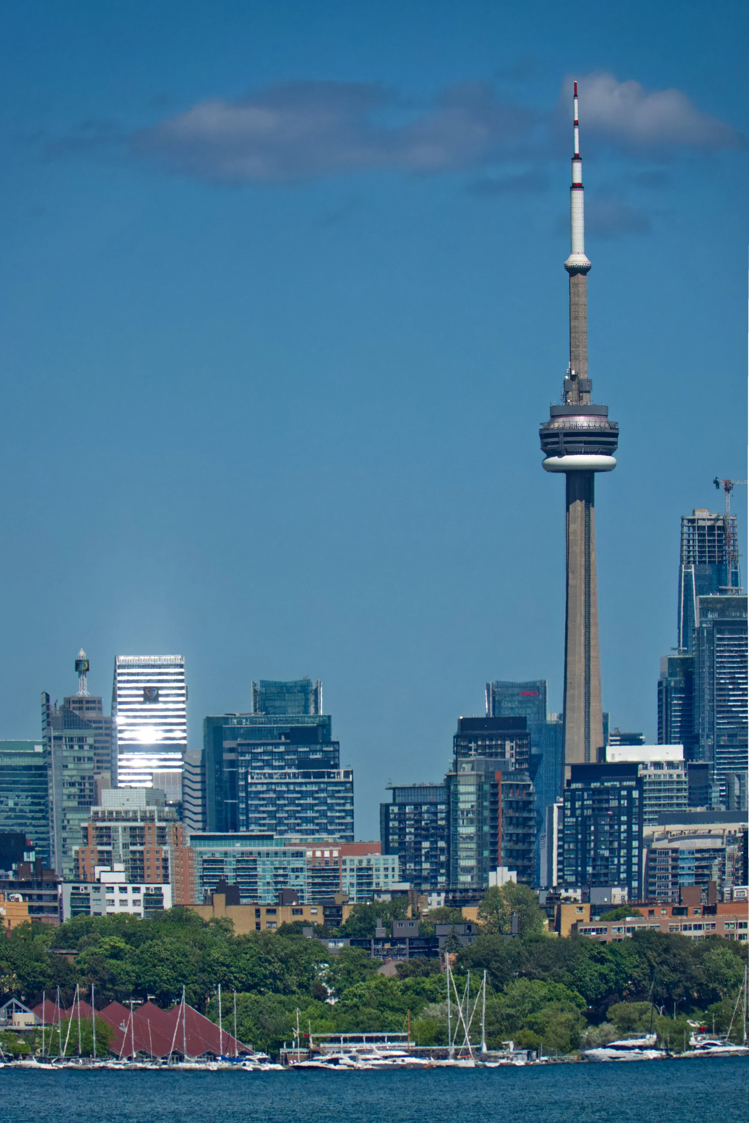 Toronto Skyline from the West
