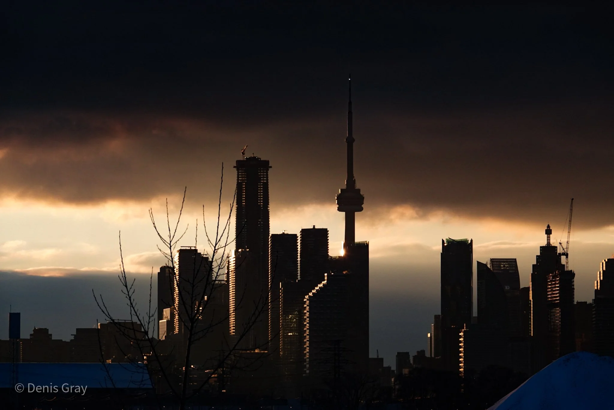 Toronto Skyline from Lookout Park.