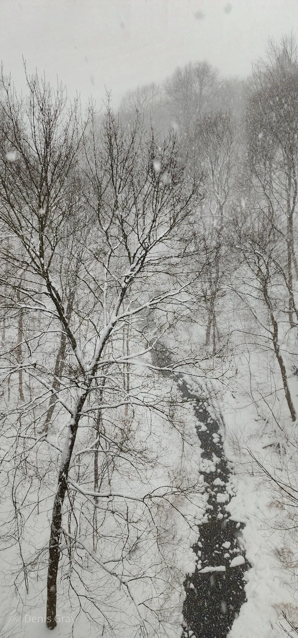 YellowCreek, Vale of Avoca, Toronto