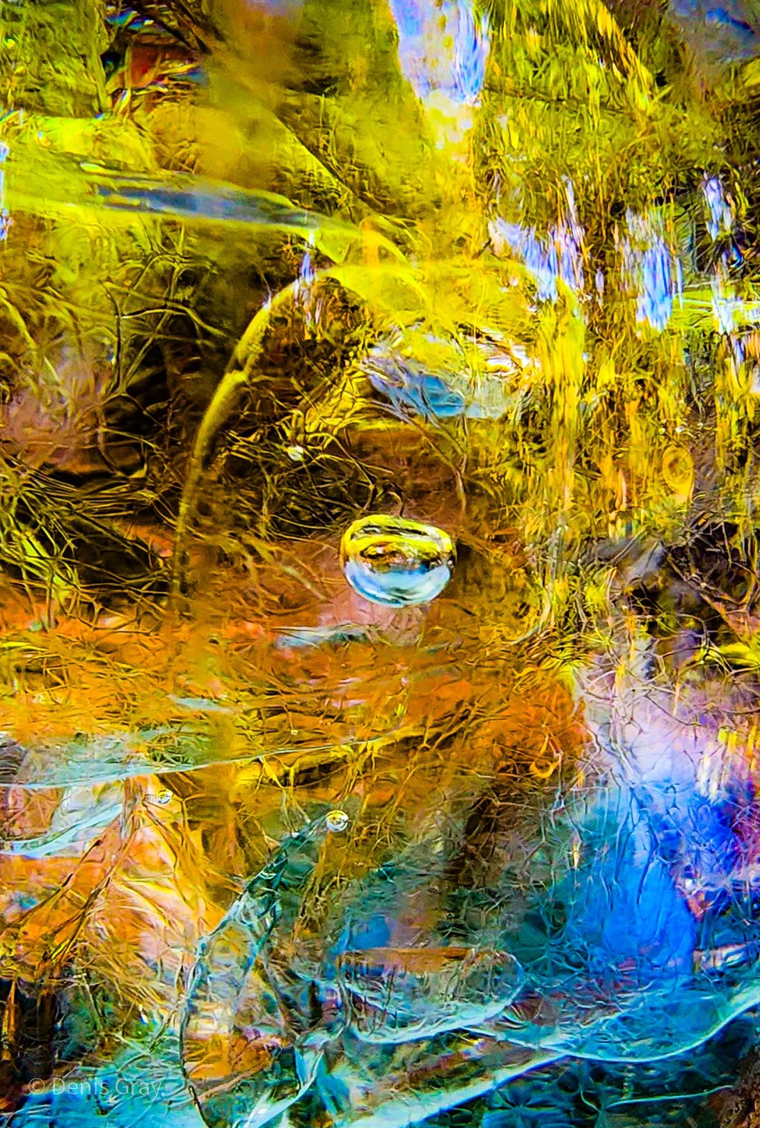Air bubble ice, cocktail, jungle backdrop, Sweet Song Resort, Western Belize