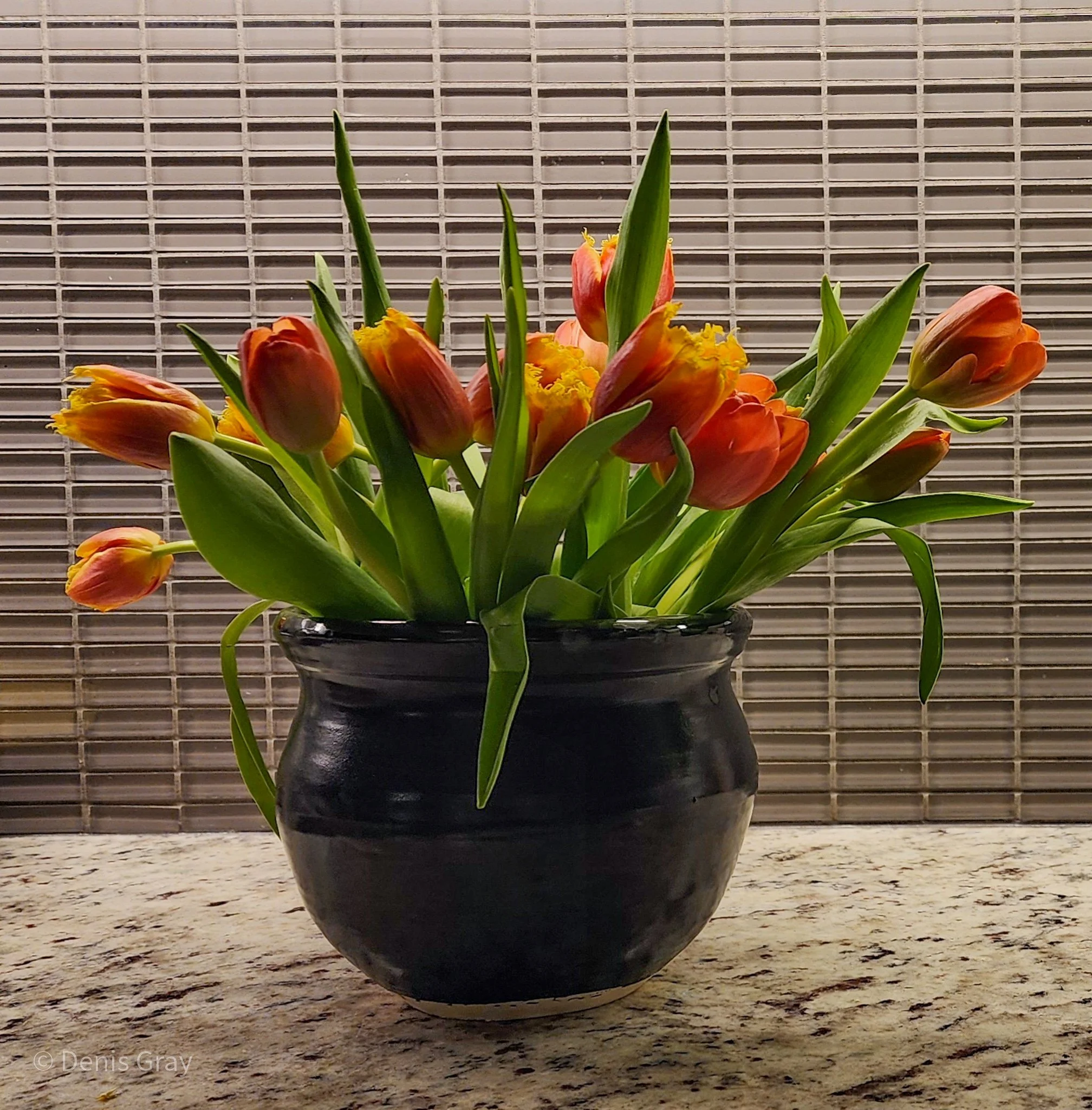 20260106_195659 (1).jpg