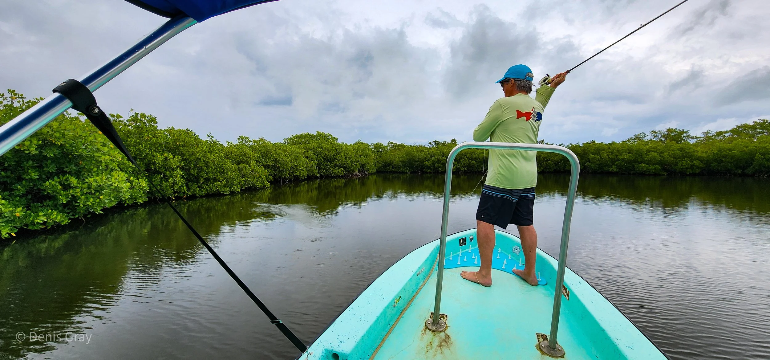 Mangrove fishing