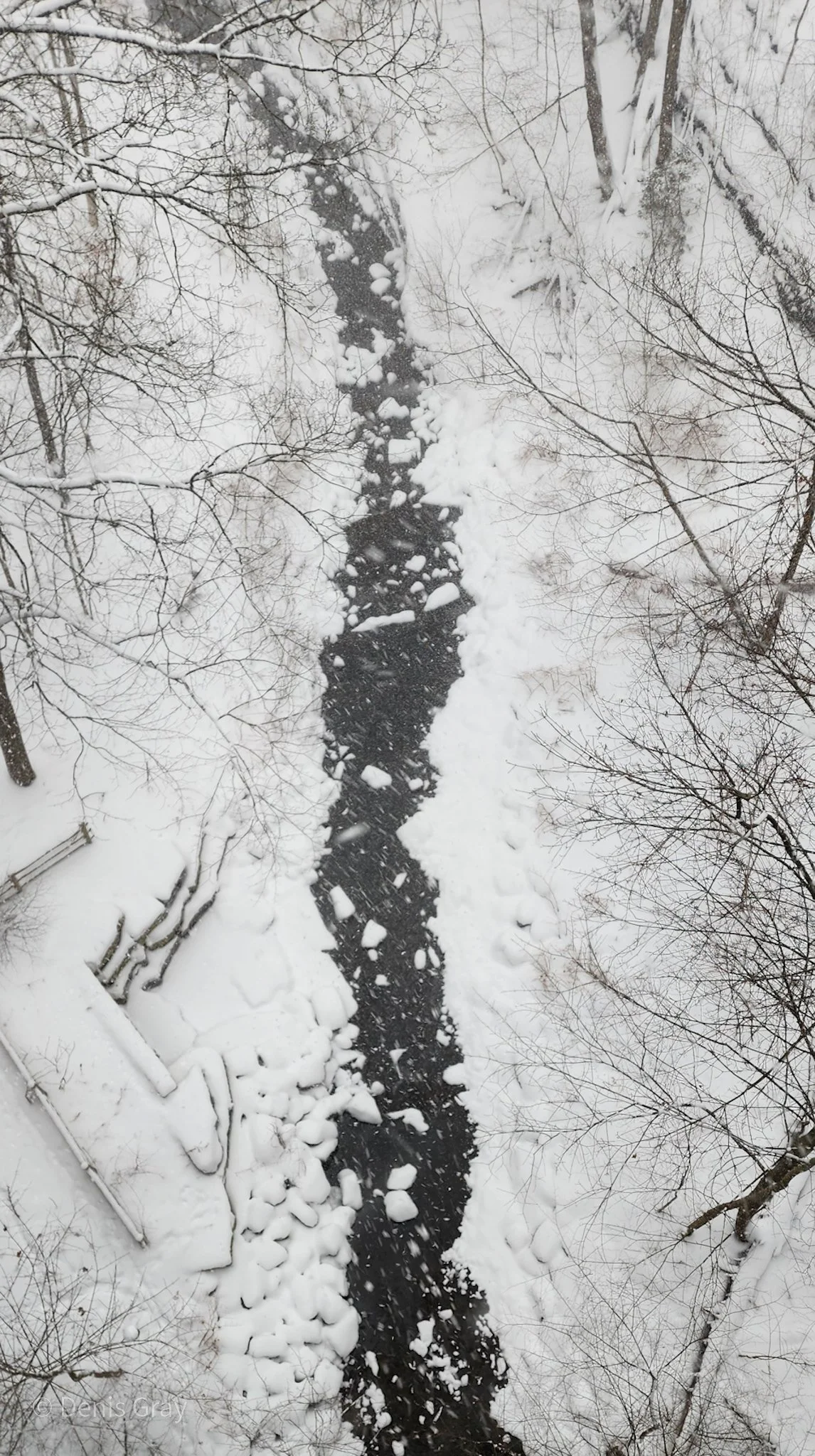 YellowCreek, Vale of Avoca, Toronto