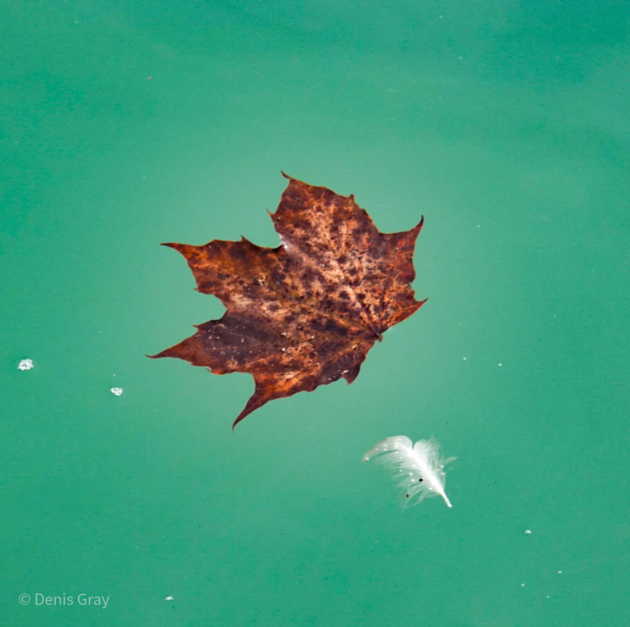 Lake Ontario