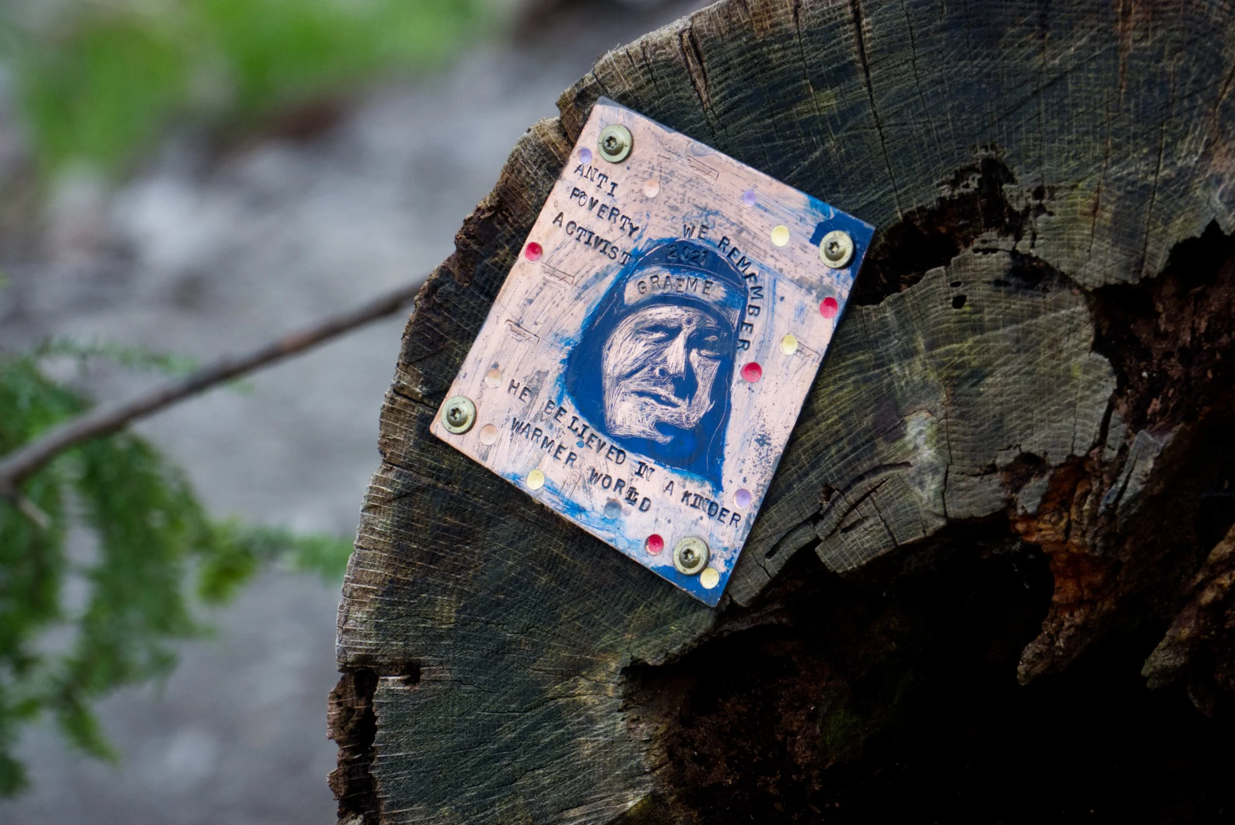Found Object, Yellow Creek Ravine, Toronto