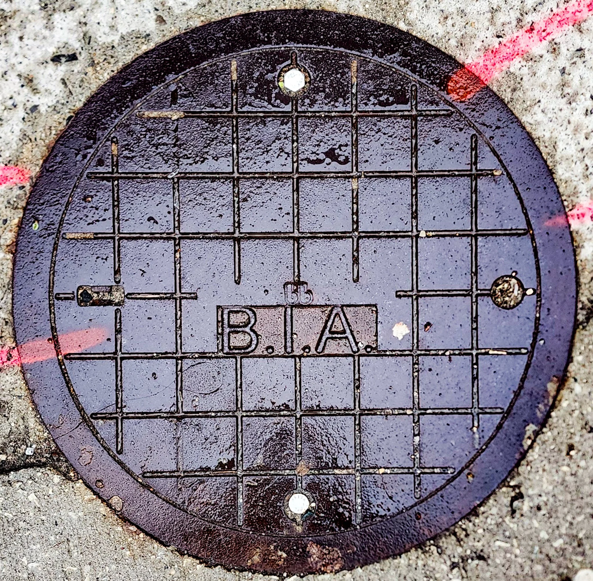 Toronto manhole cover (BIA stands for Business Improvement Area - it is also the word for food in Irish)